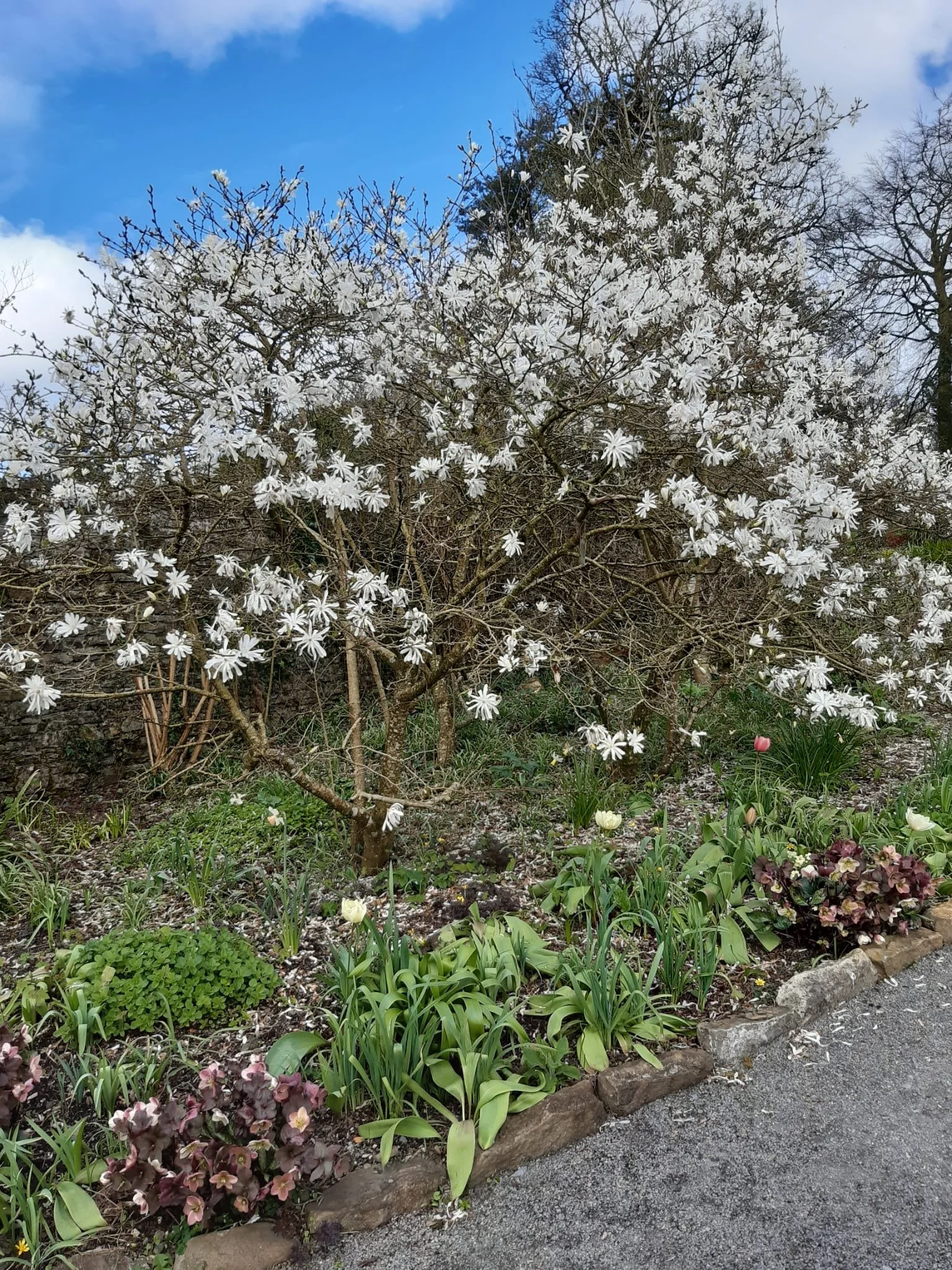 Spring Coach Trip Report 