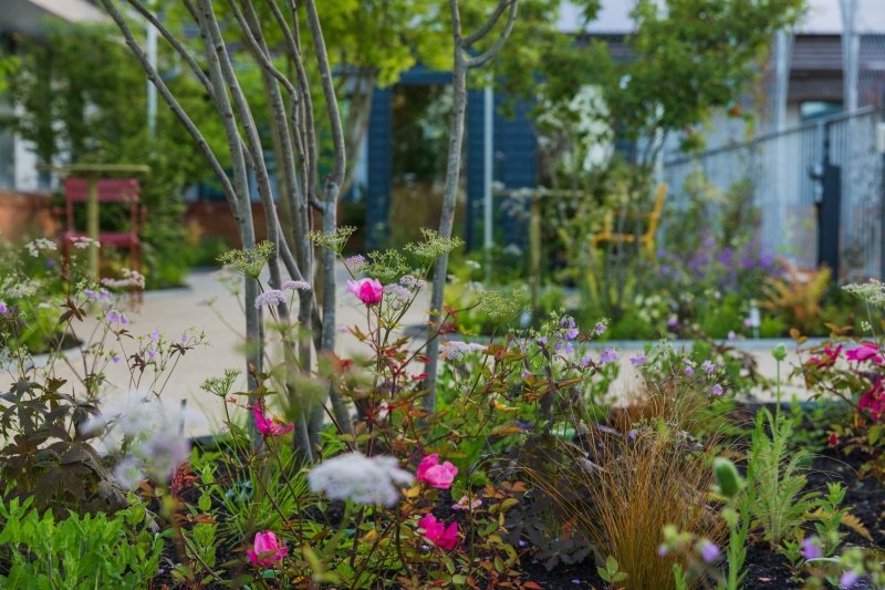 Local NGS opening this weekend