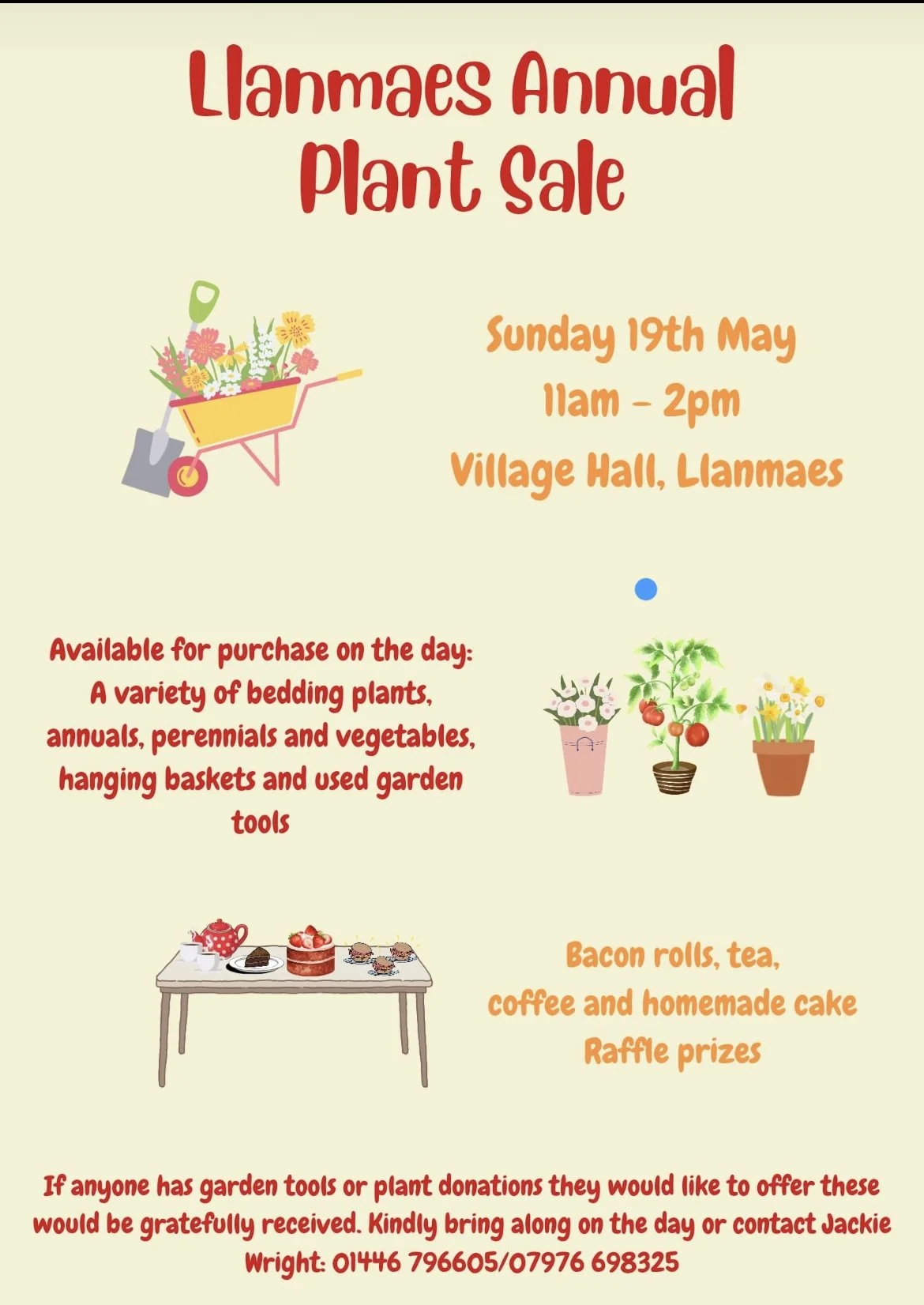 Llanmaes Plant Sale  