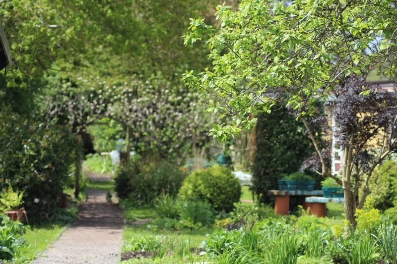 Local NGS opening this week 