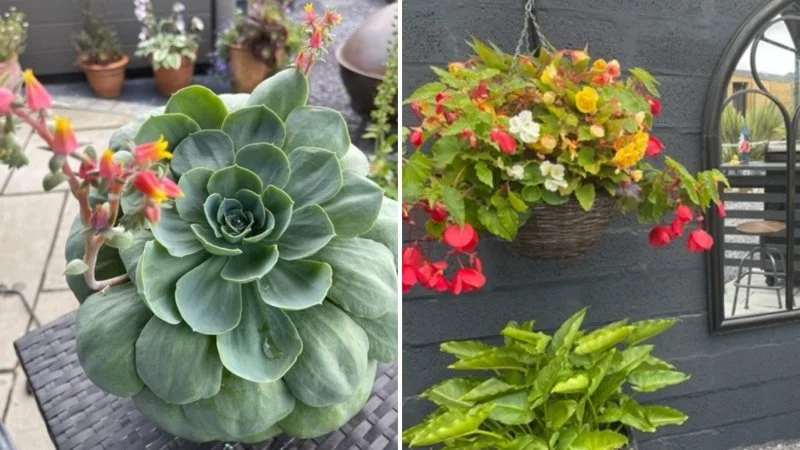 NGS OPEN THIS WEEKEND!