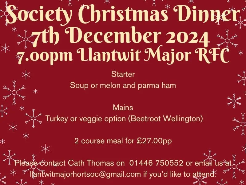 Christmas Meal (yes really)