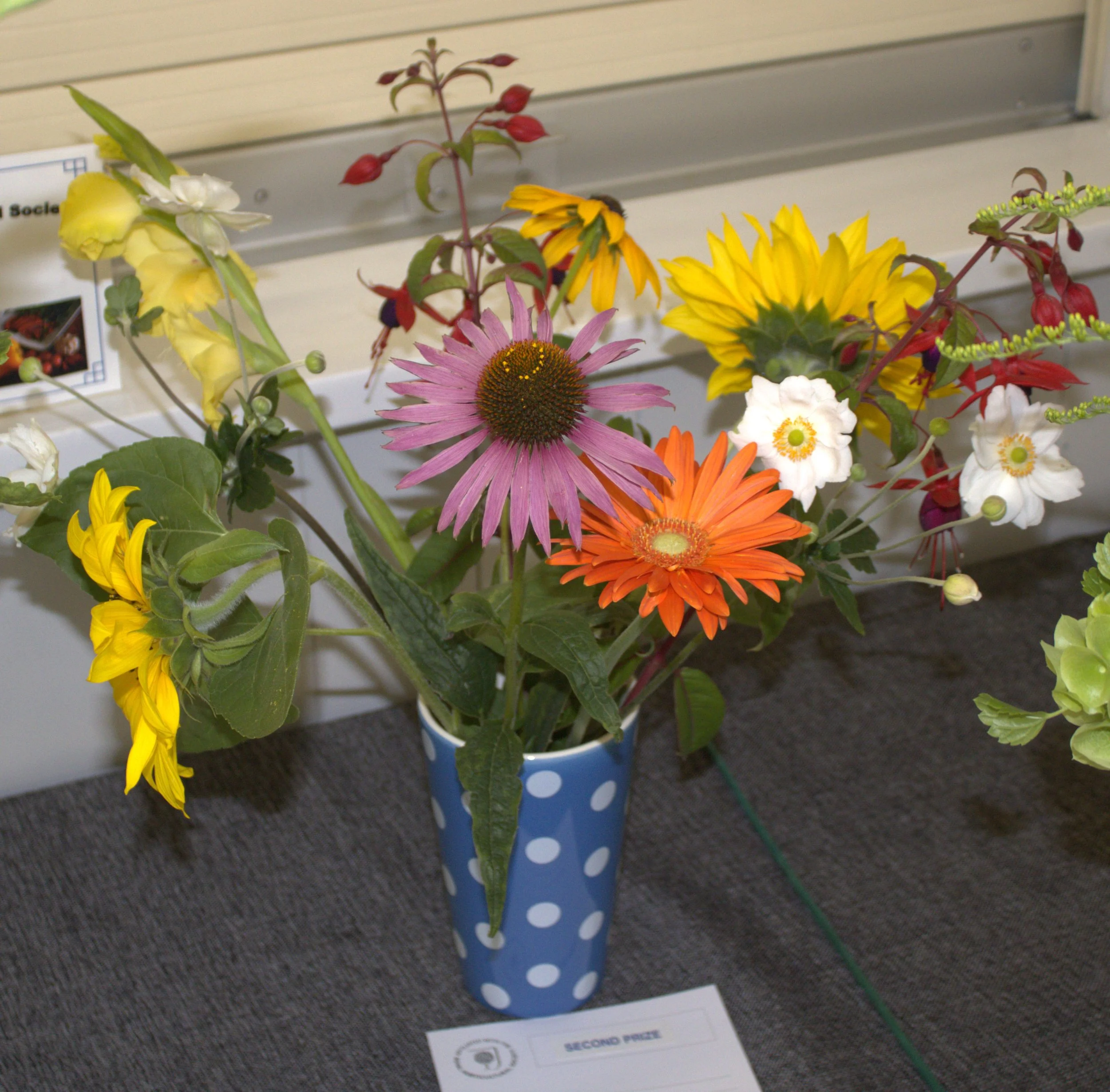 Summer Show 2024 Report 