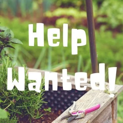 VOLUNTEER WANTED - FINAL PLEA!