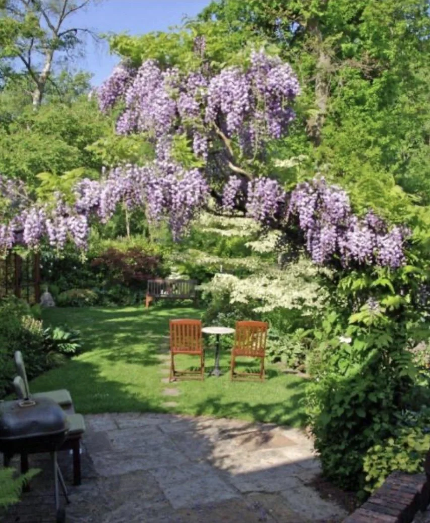 Local NGS opening this weekend 