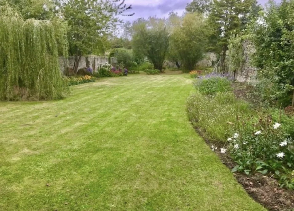 Local NGS opening TOMORROW! 