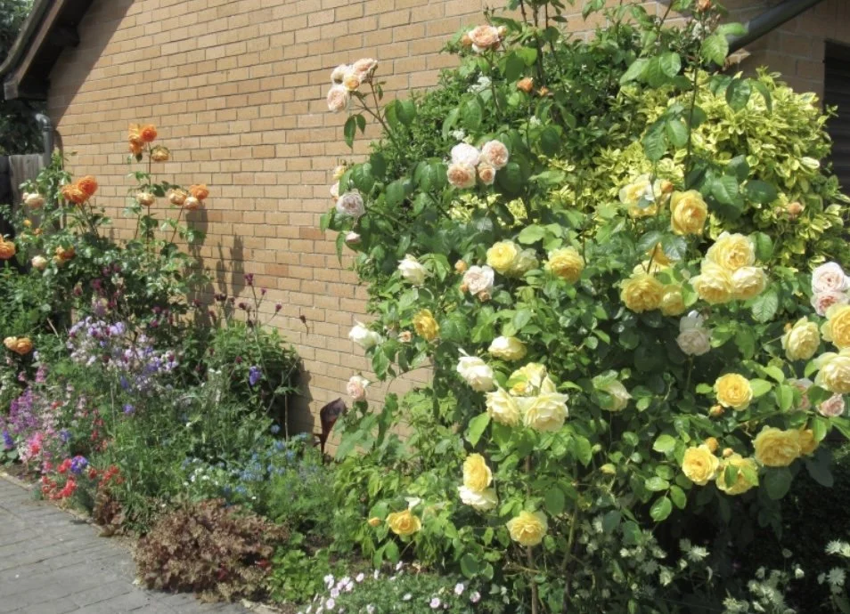 Local NGS opening this weekend 