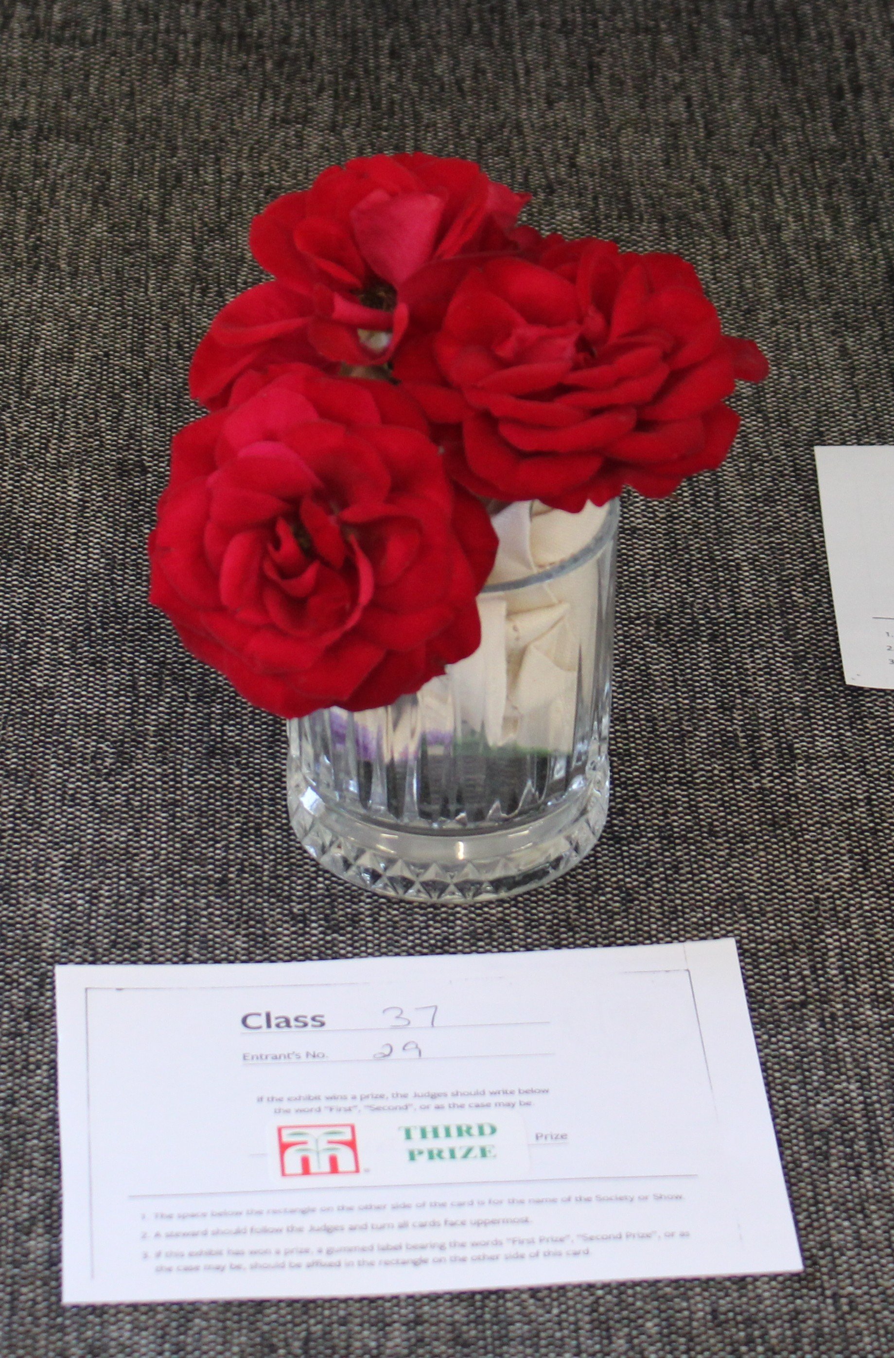 IMG_0483 copy.JPG