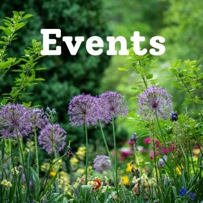 Please bring your dinner money!