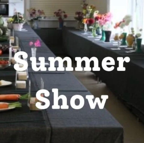 Get our summer show in your diary!