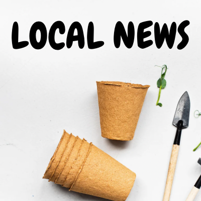 LOCAL CONSULTATION