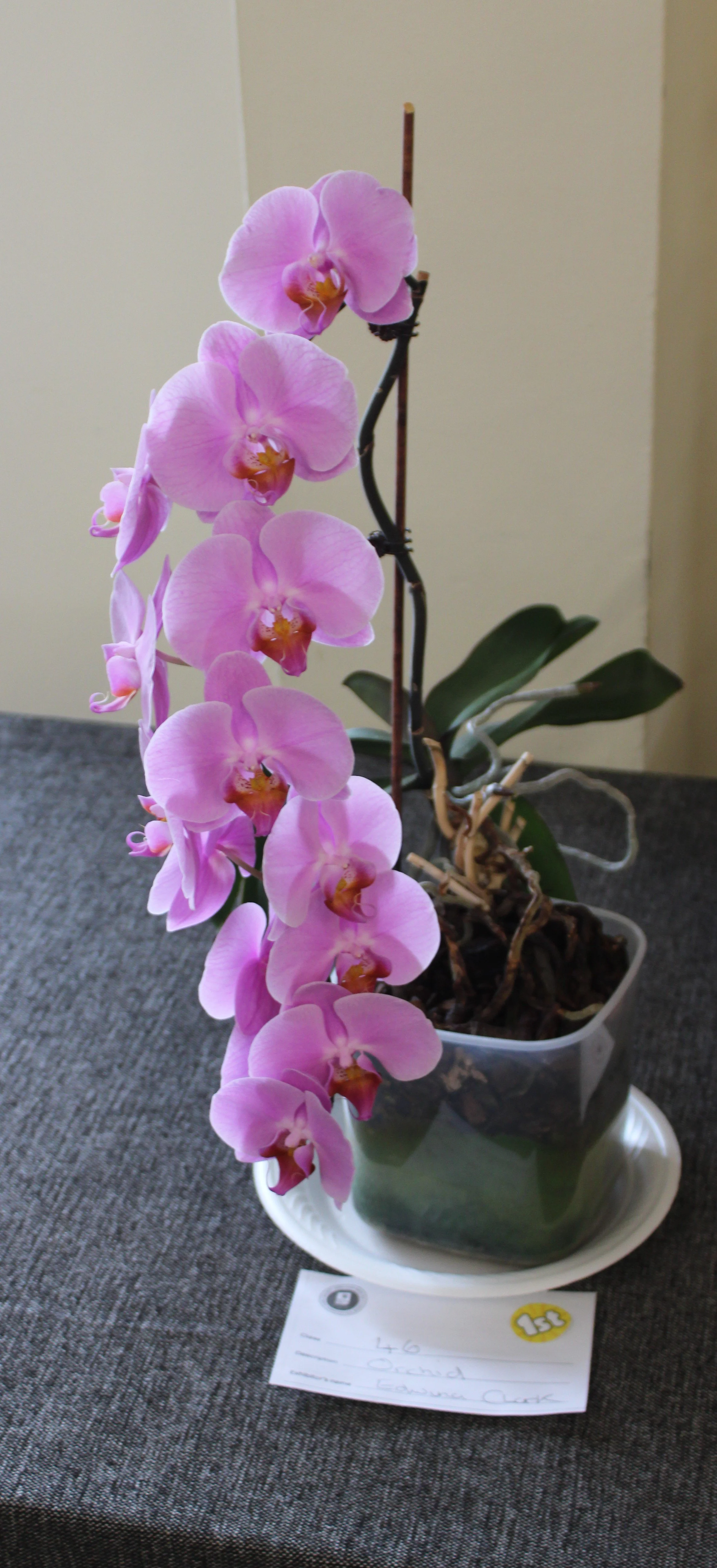 image00001.JPG