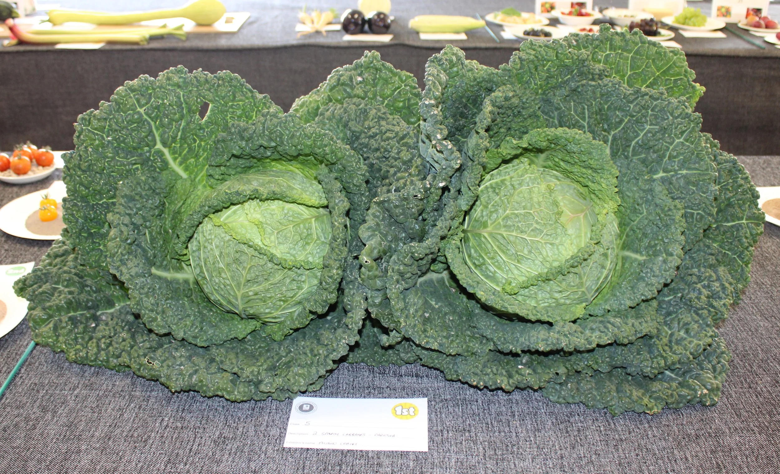 image00012.JPG