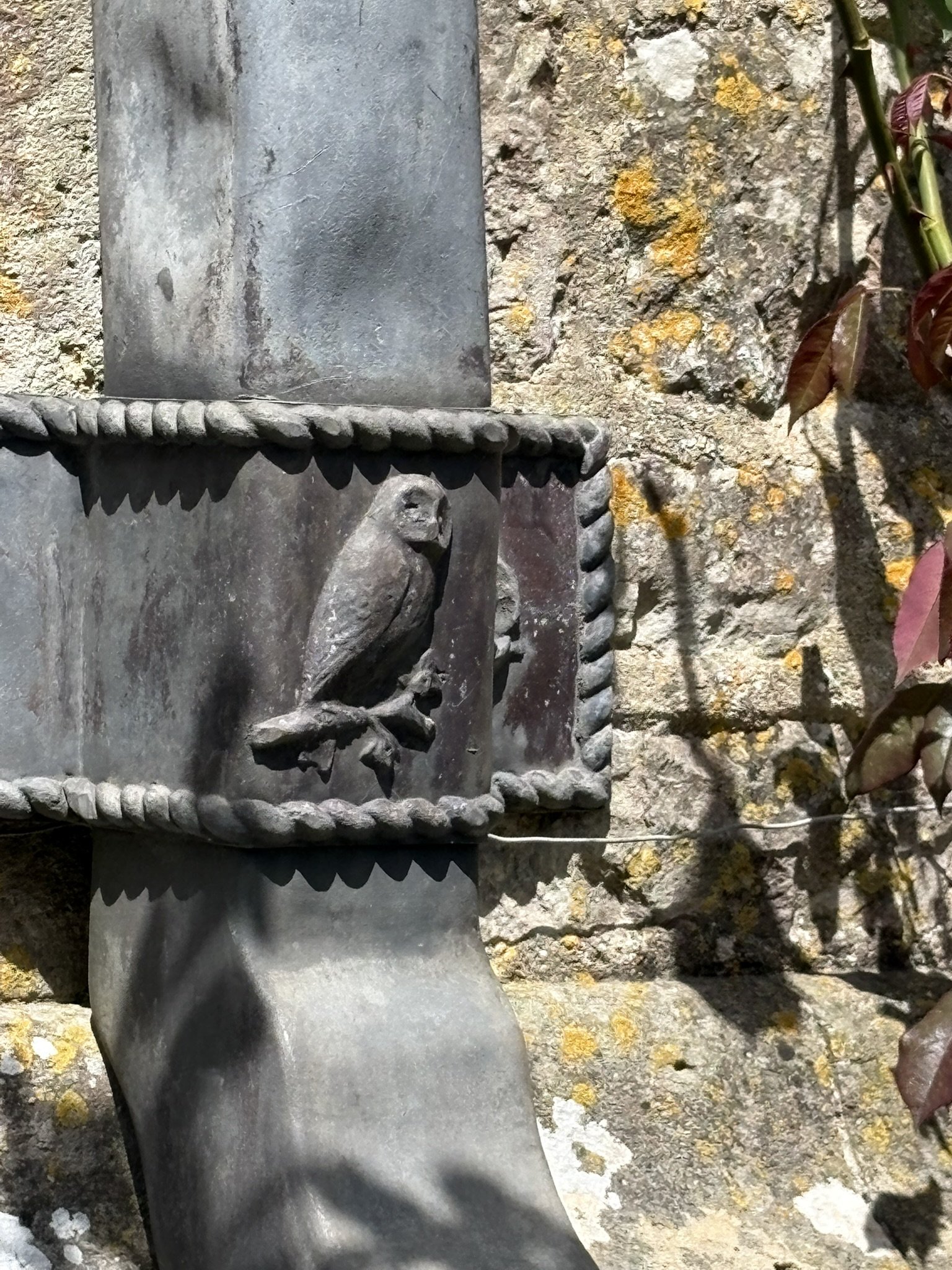 IMG_1895.JPEG