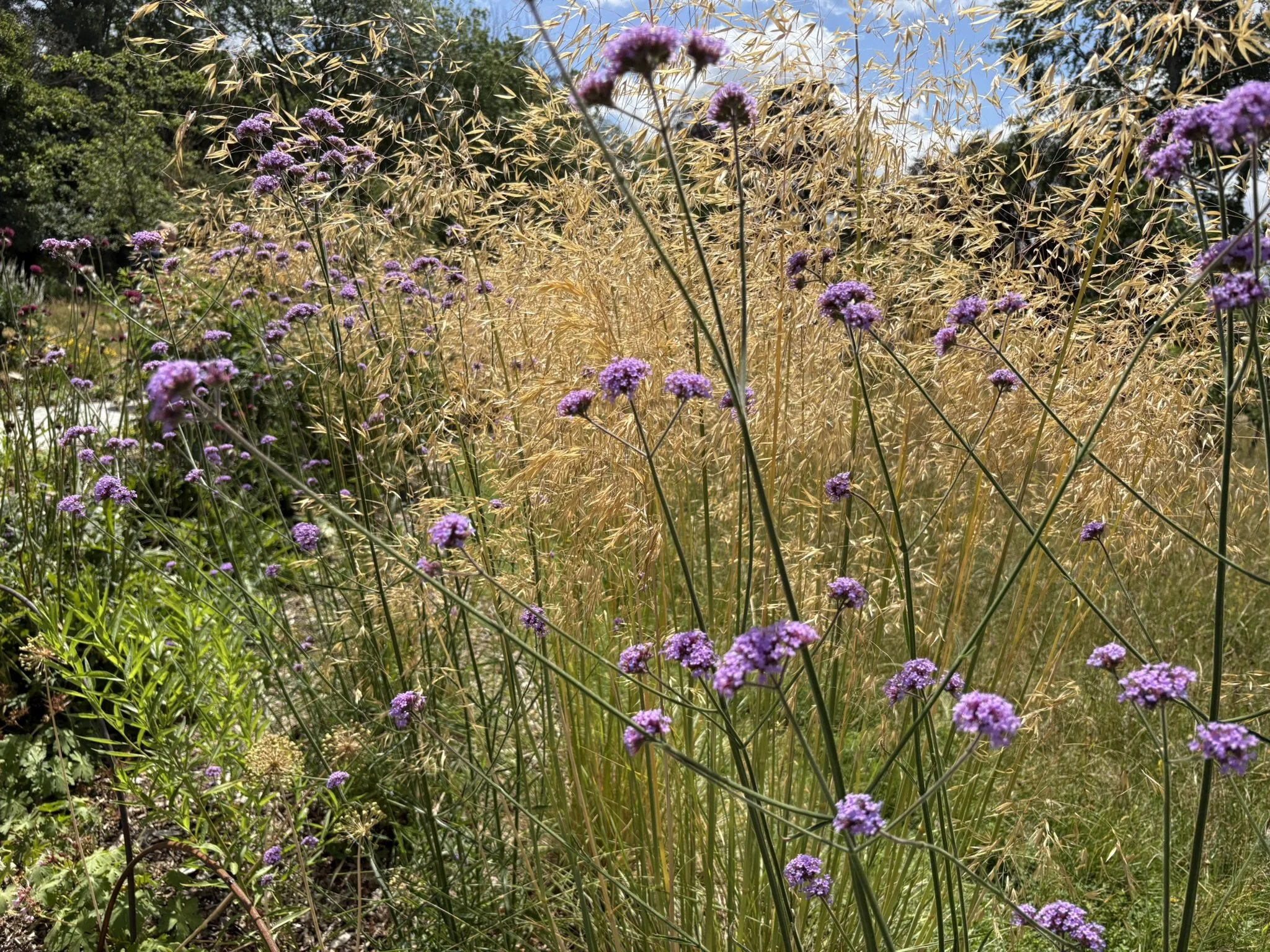 IMG_1744.JPEG