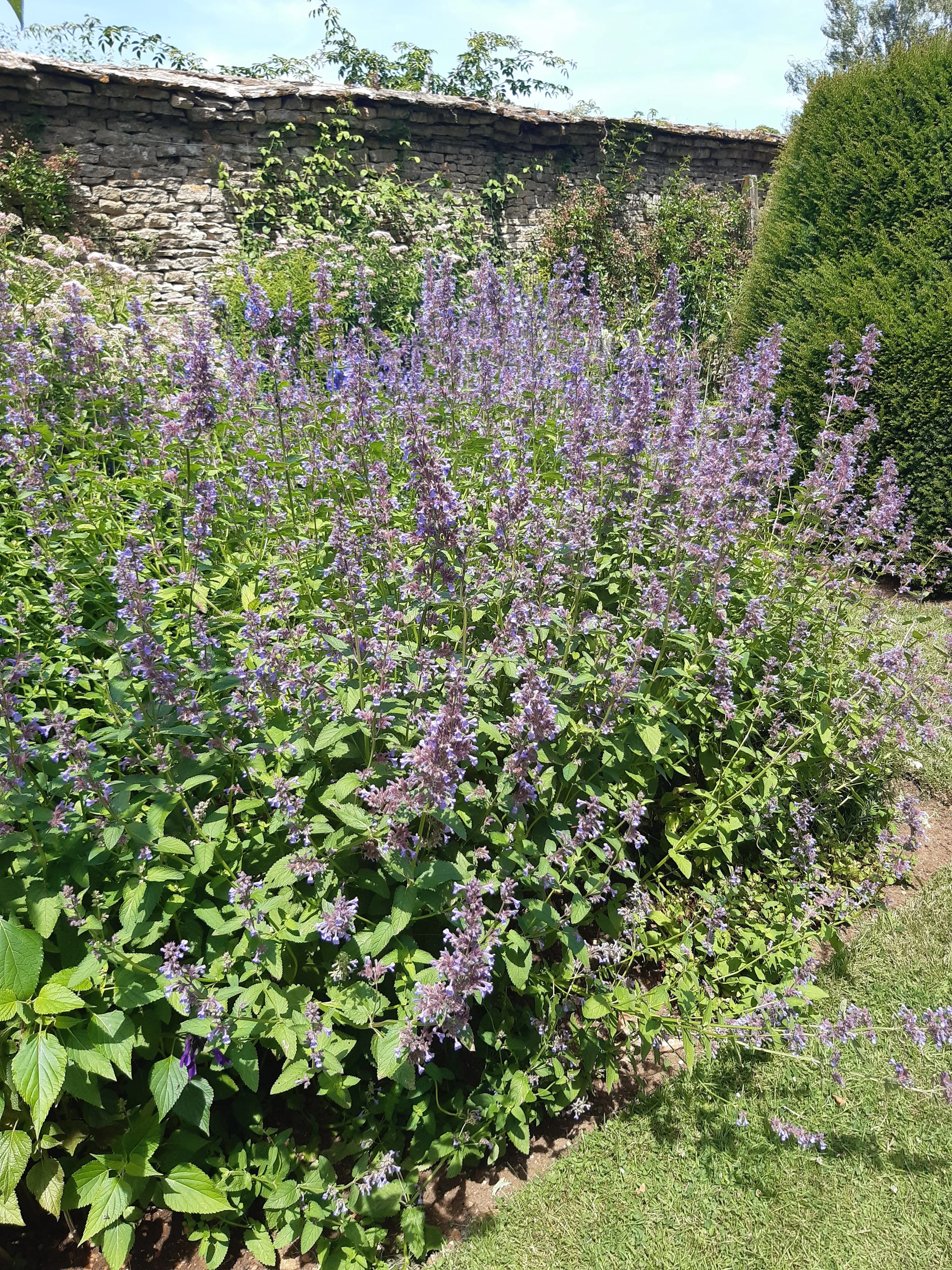 20260703_133424.jpg