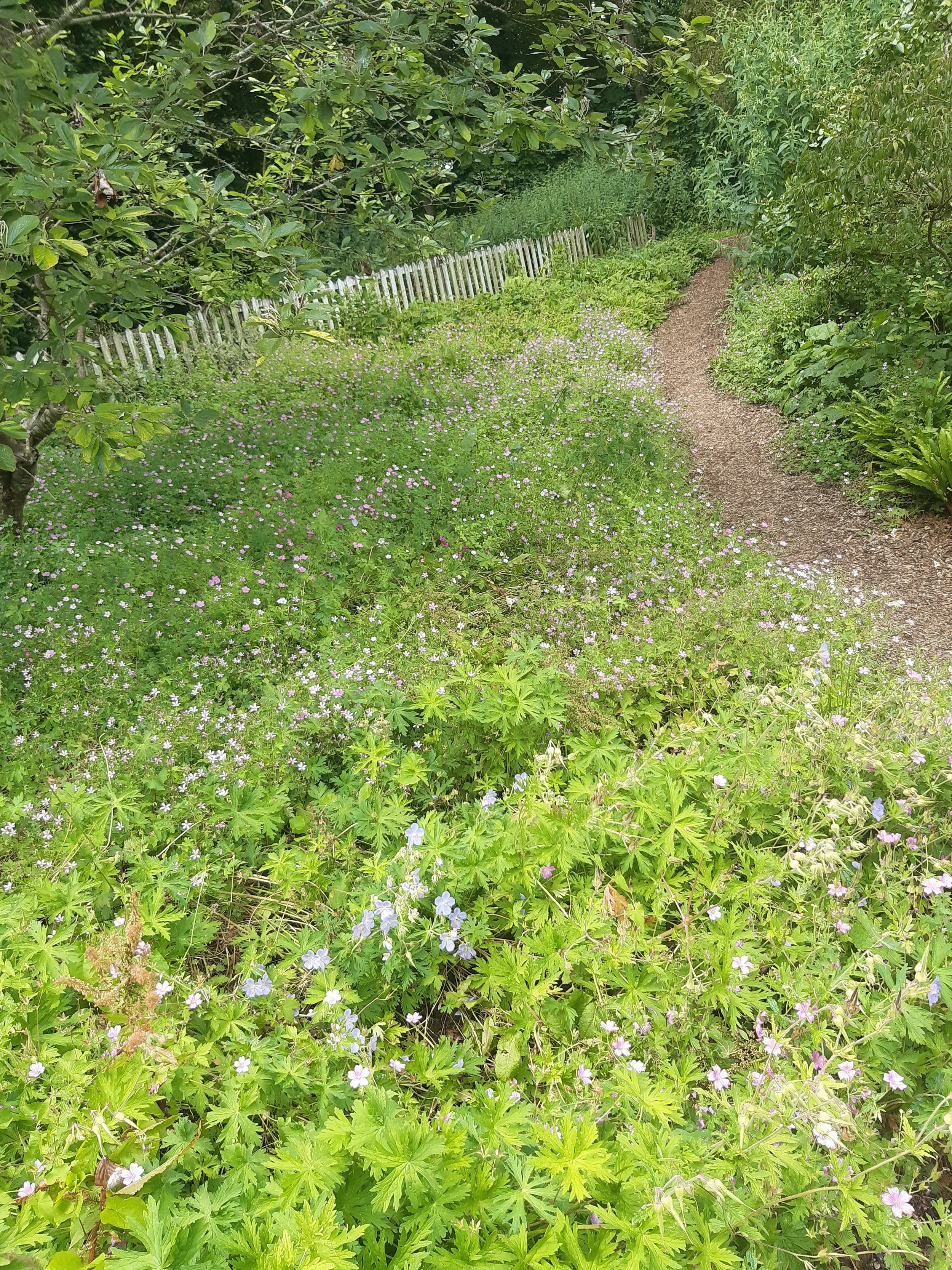 20260629_141027.jpg