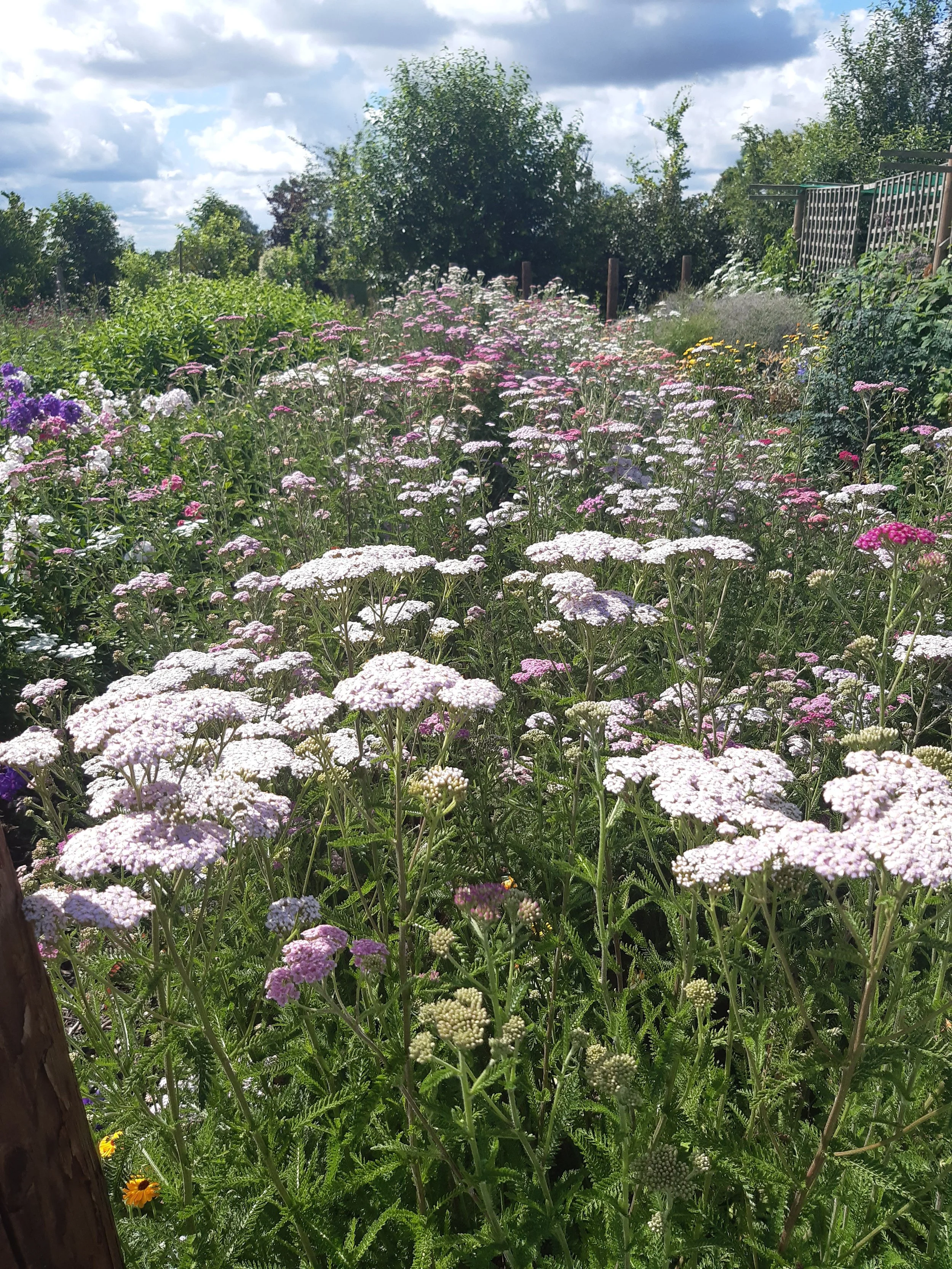 20260701_105941.jpg