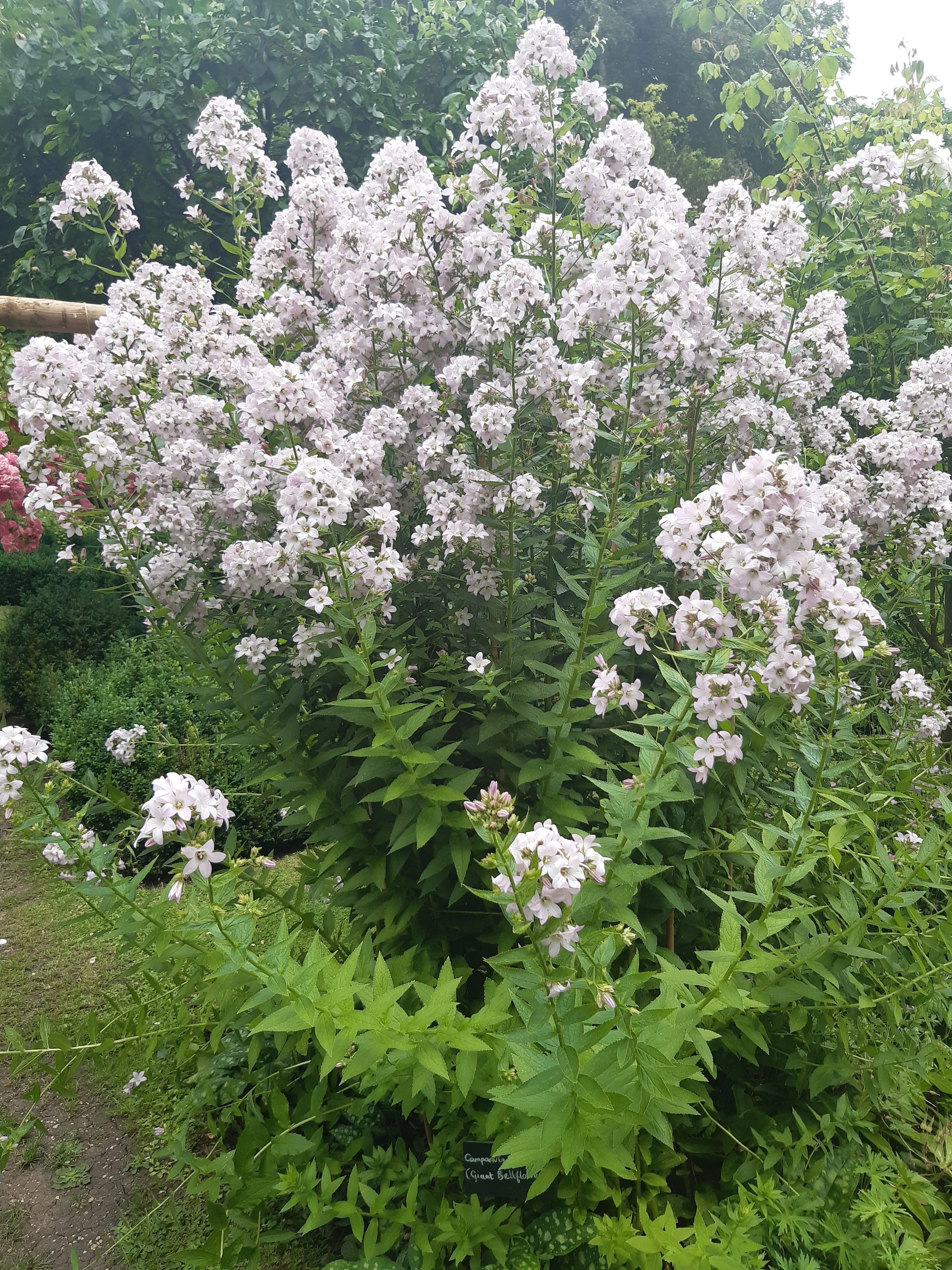 20260629_135847.jpg