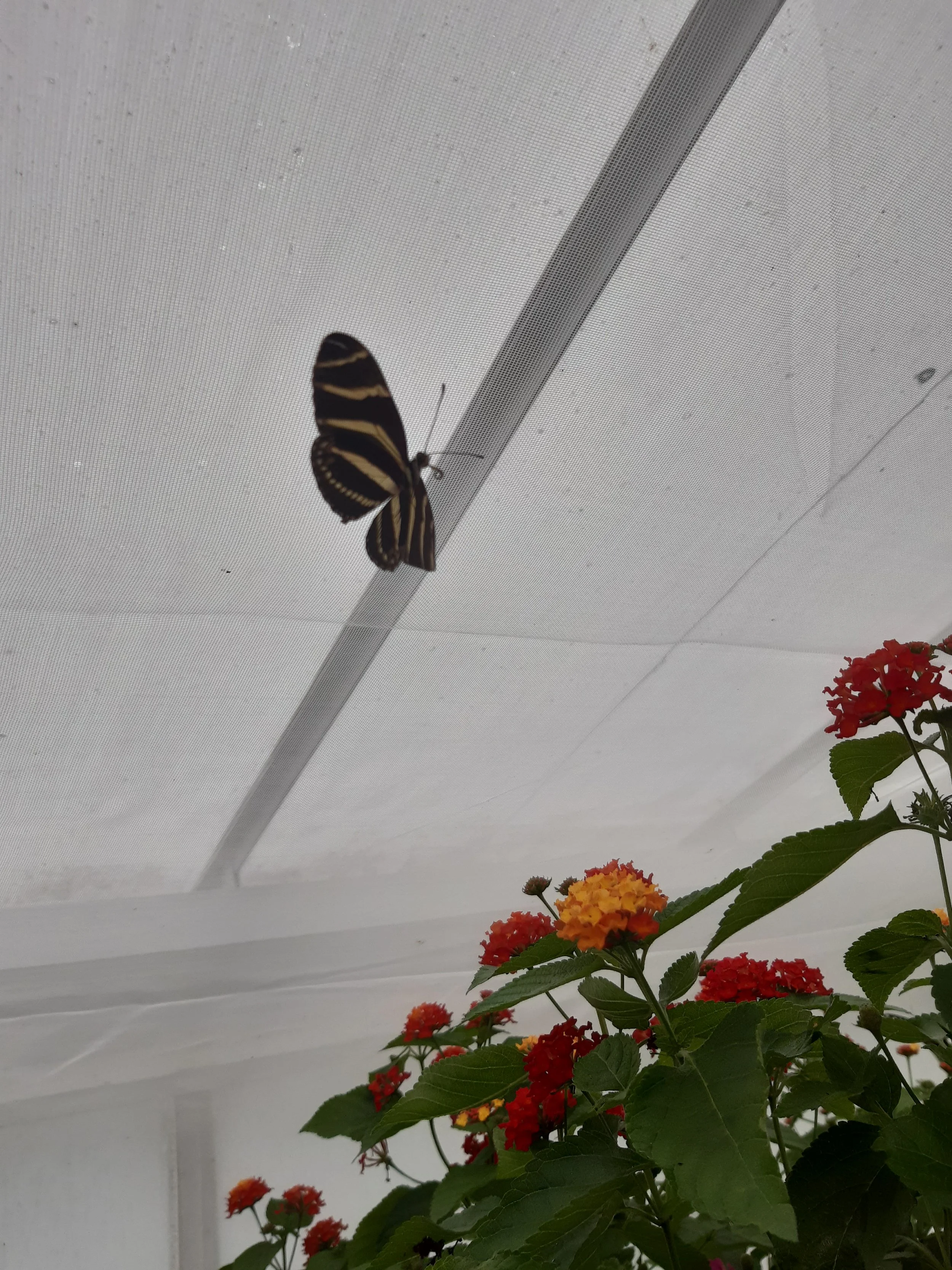 20260630_141524.jpg
