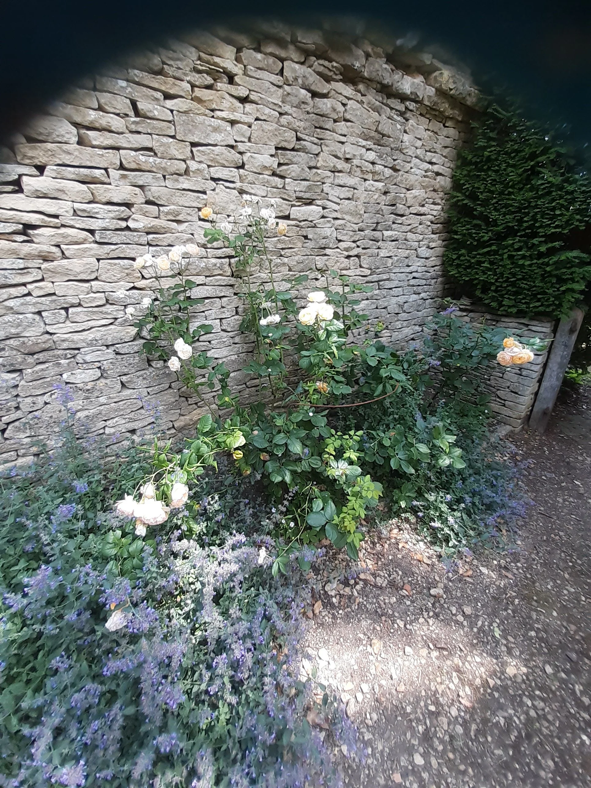 20260703_132650.jpg
