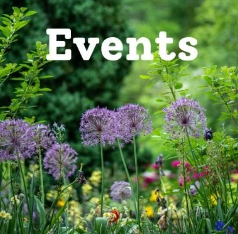 Coffee Morning &amp; Plant Sale 