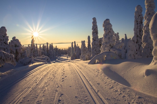 winter solstice 2.jpeg