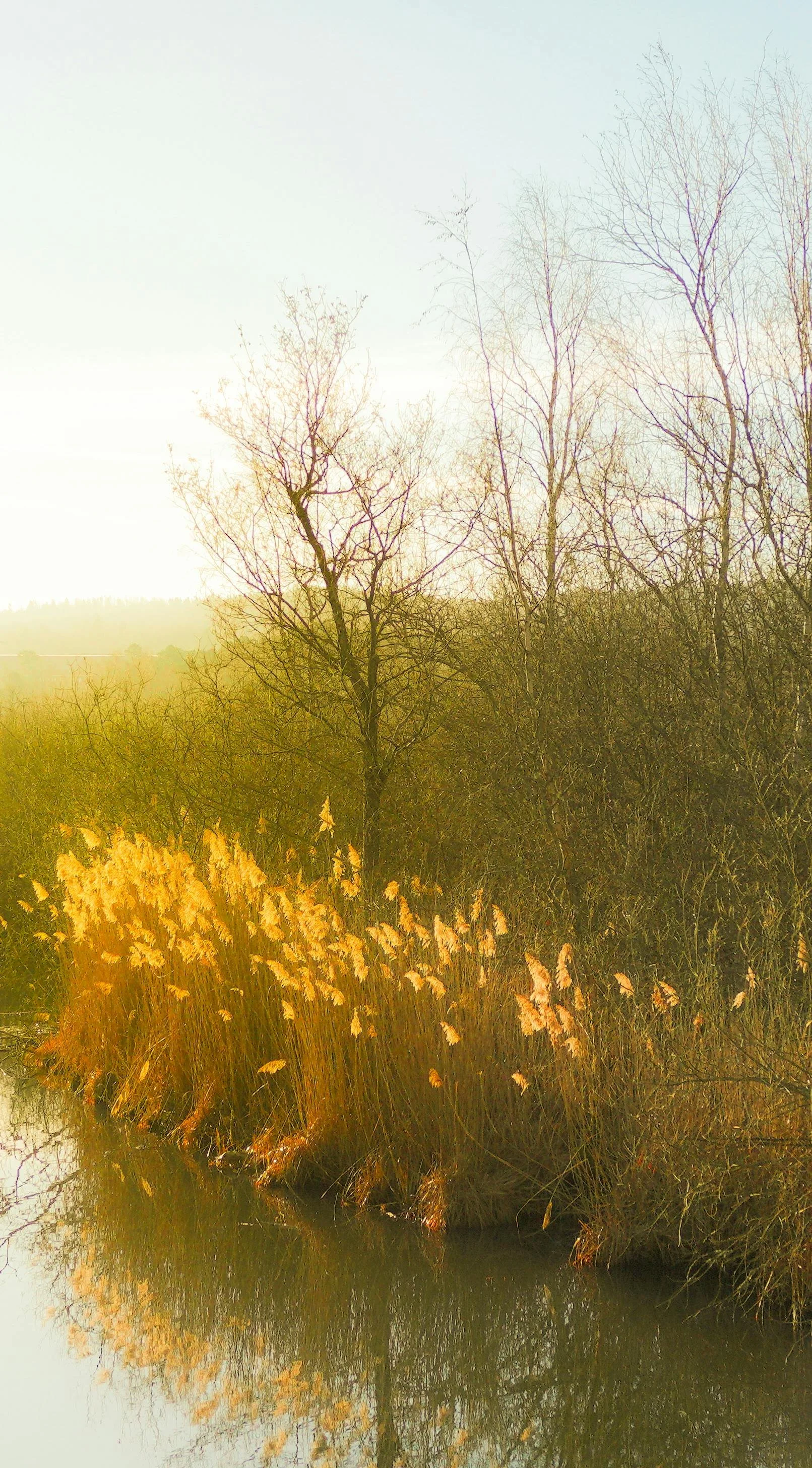 Calm environment supporting emotional and energetic balance