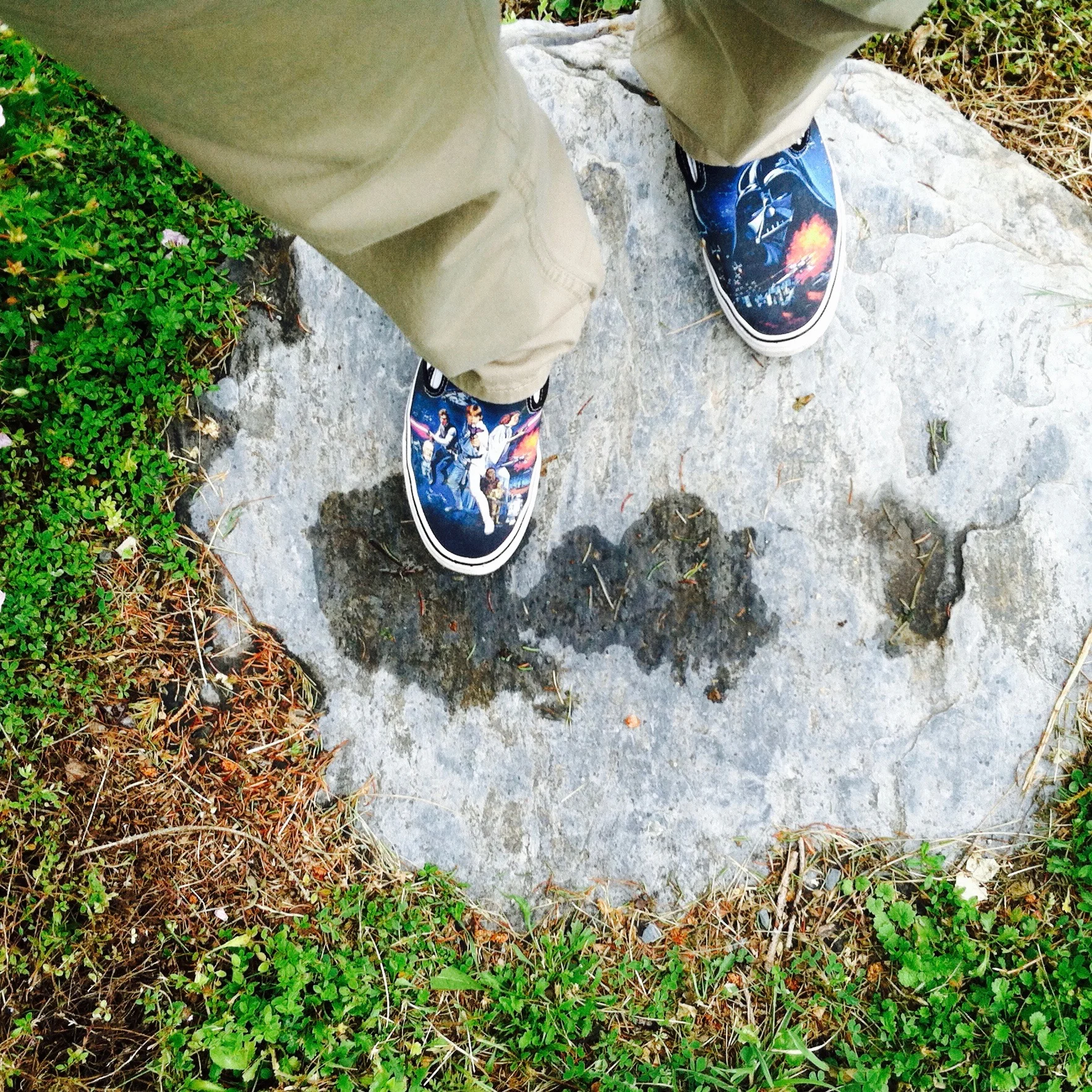 Star Was Vans out for a walk. — N.M-Y. '15