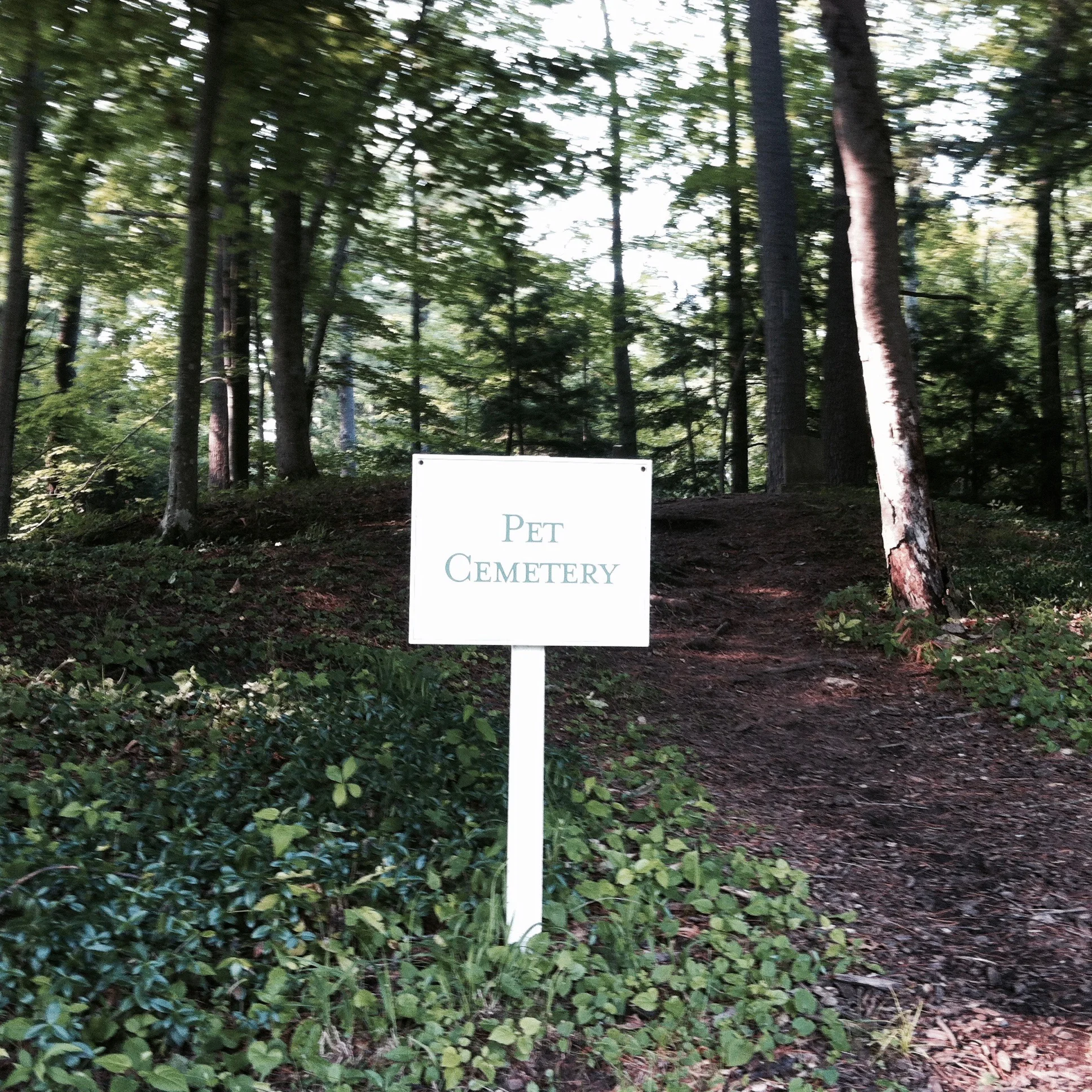 Path leading up to the Pet Cemetery. — N.M-Y. '15