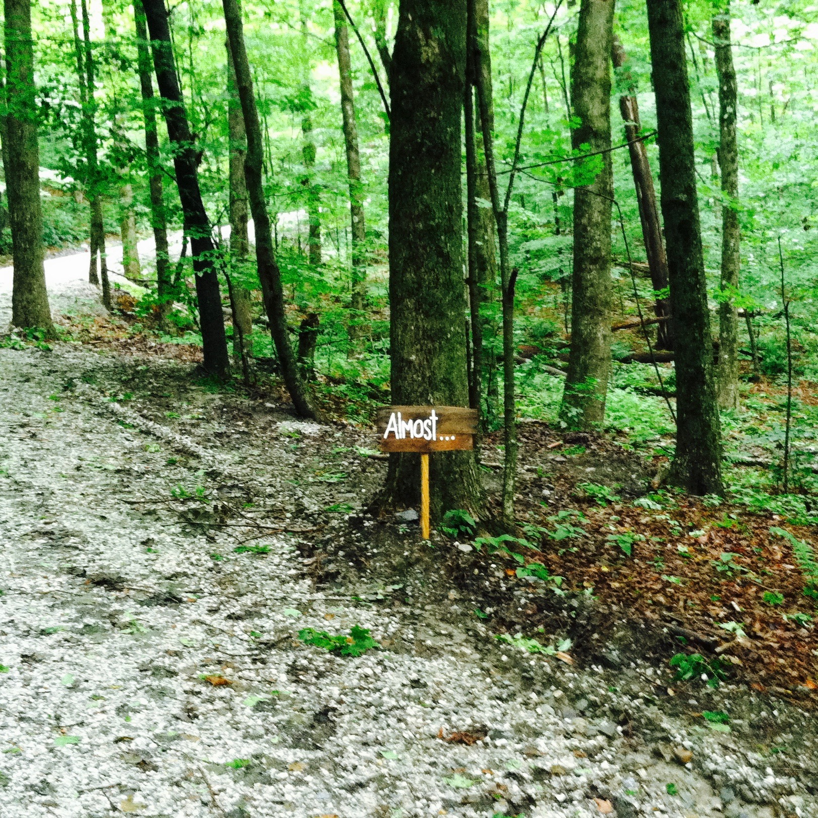 A sign on the way up to Pir Vilayat's Pod. "Almost ..." was right. I never found it. — N.M-Y. 2015