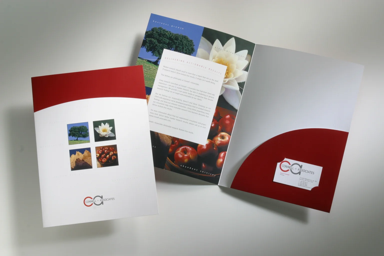 Connell + Associates Capabilities Folder