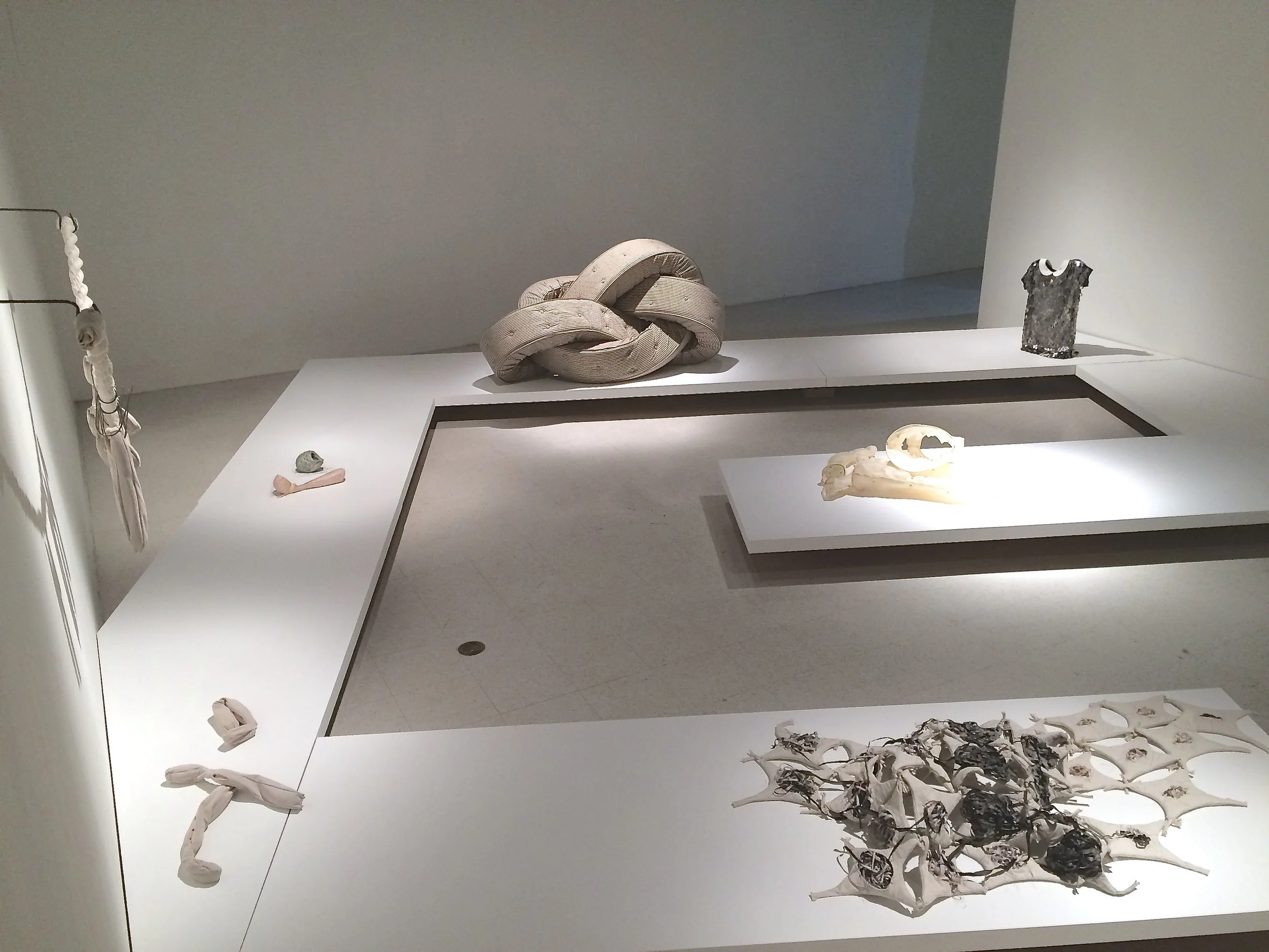 Aposiopesis Installation View