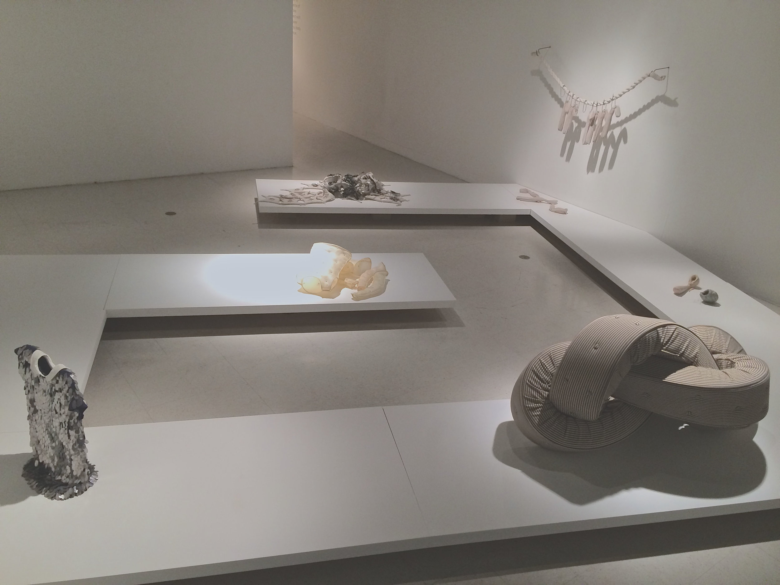 Aposiopesis Installation View