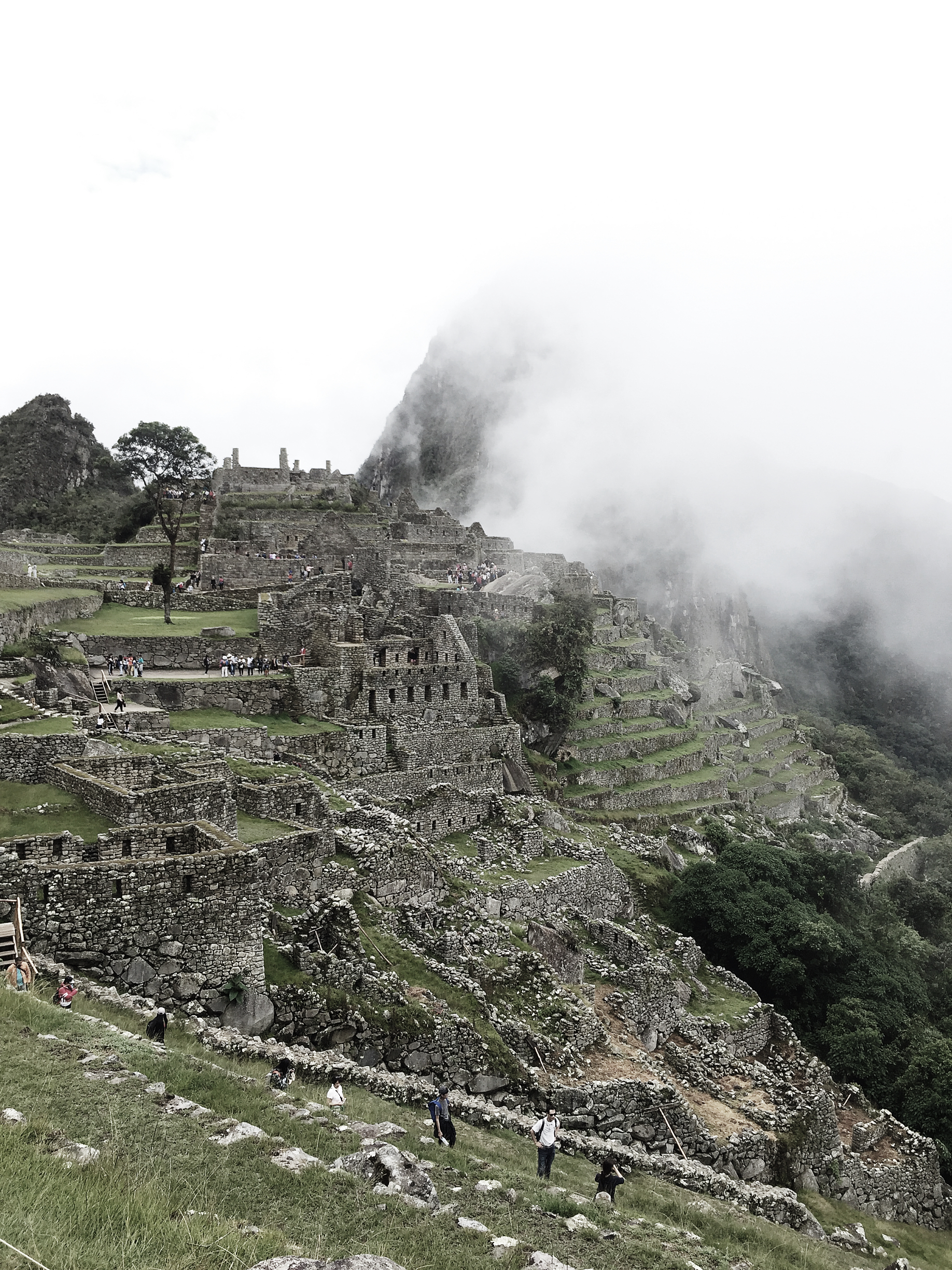 Our first sighting of Machu Picchu. We arrived at 9:00AM with fog and a little rain. 