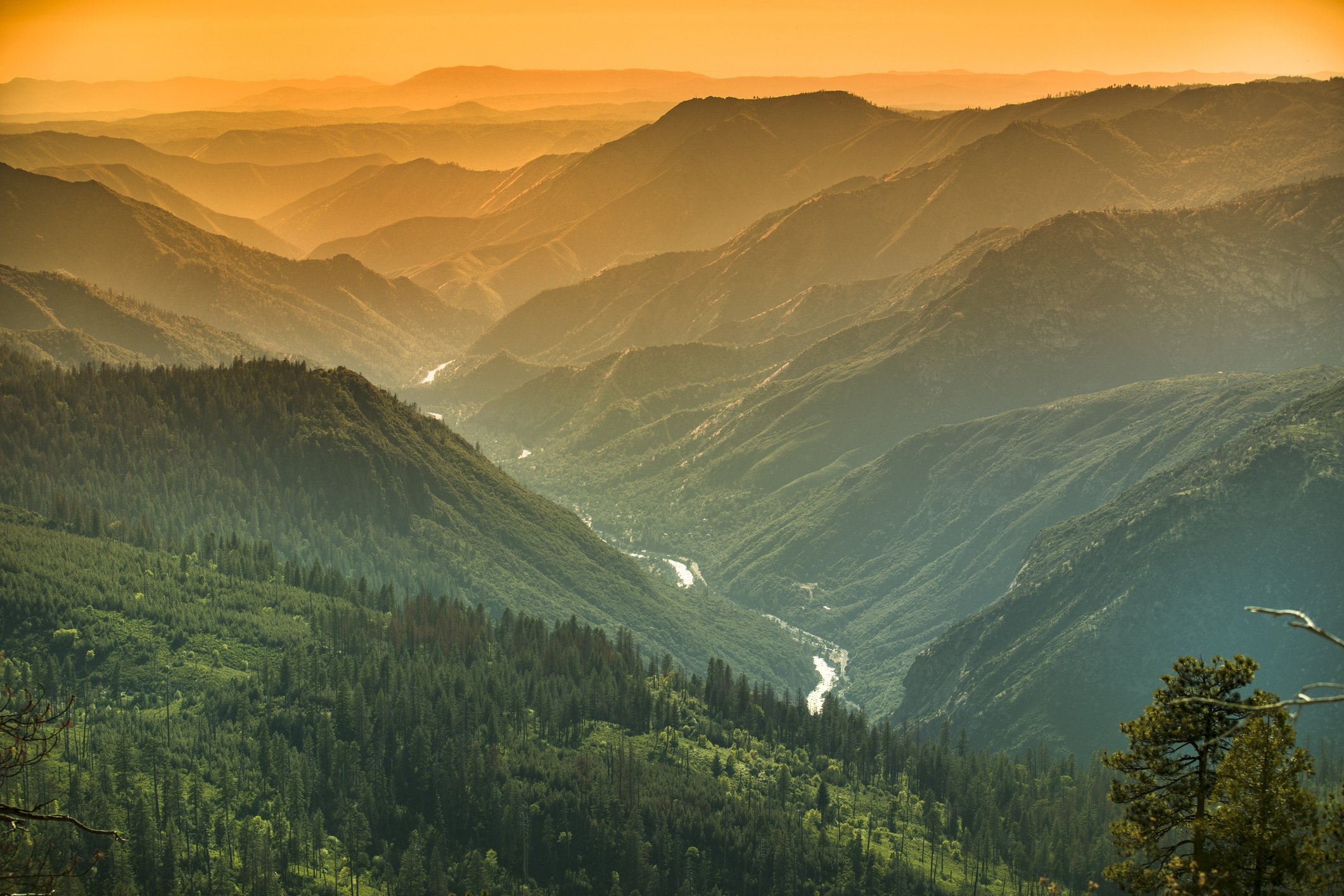 iStock-913507678.jpg