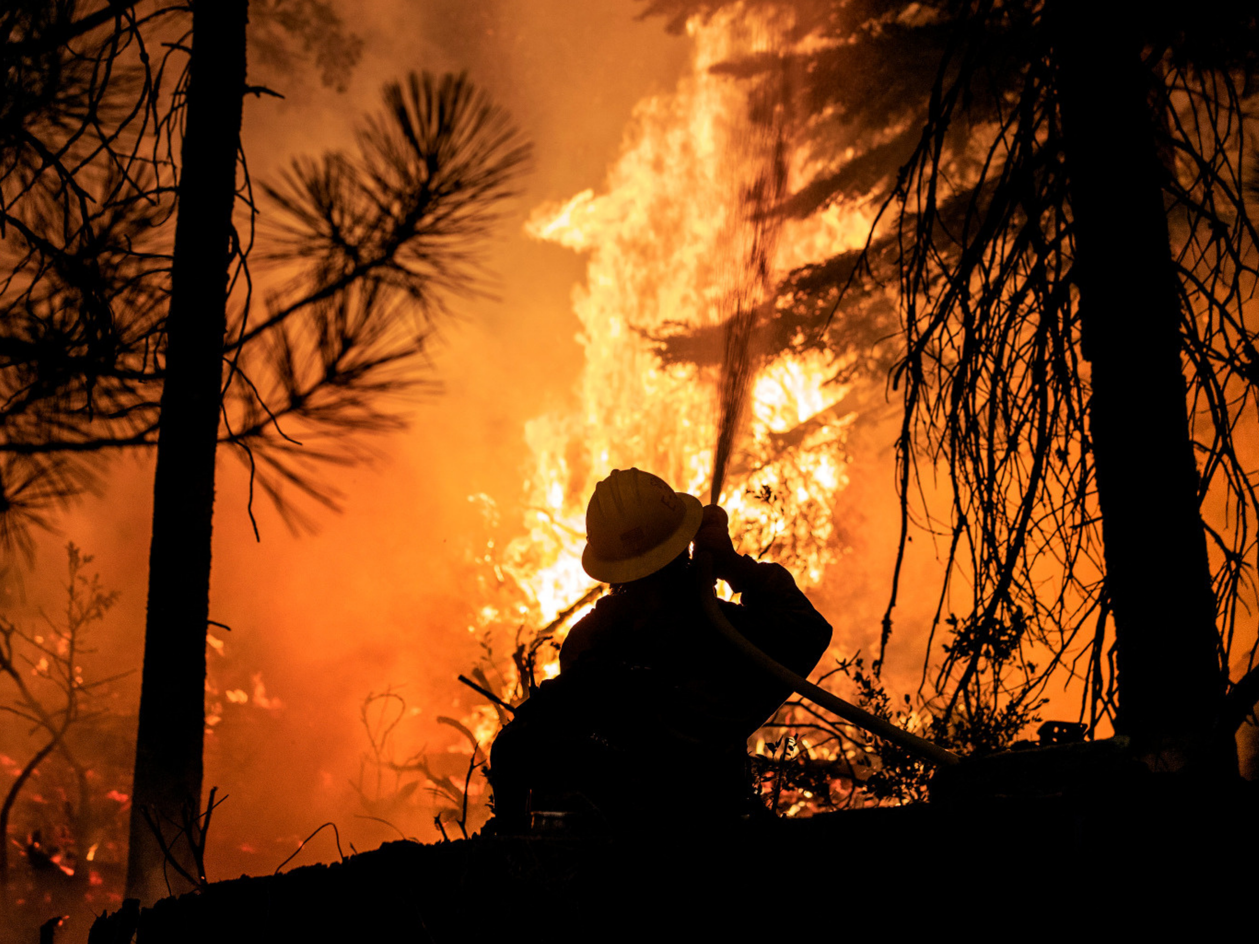 THANK YOU FIREFIGHTERS  (Poster (US)).png
