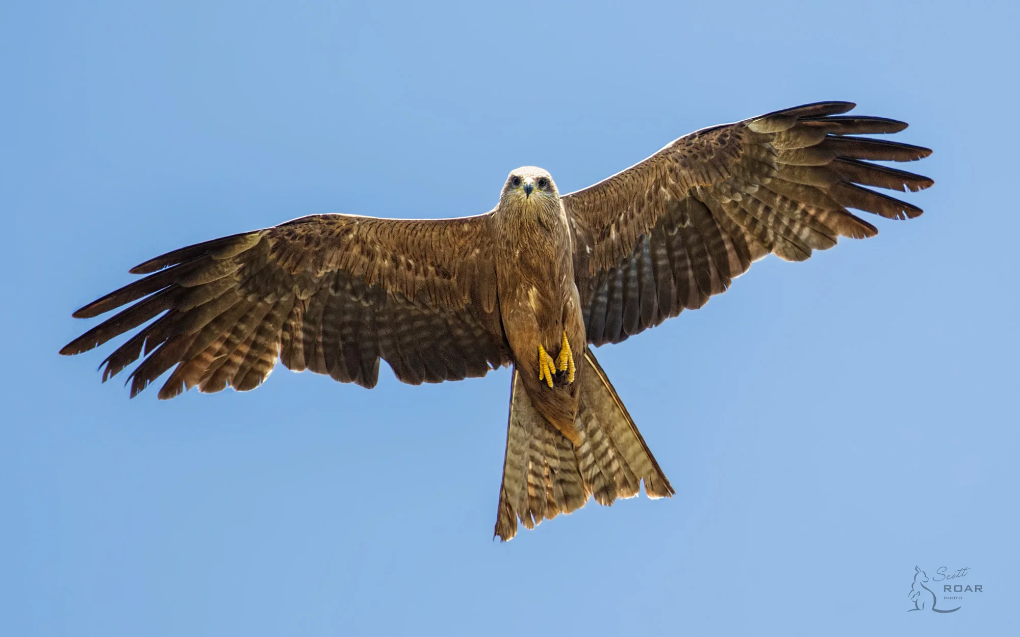 IMG_0398-Edit.jpg