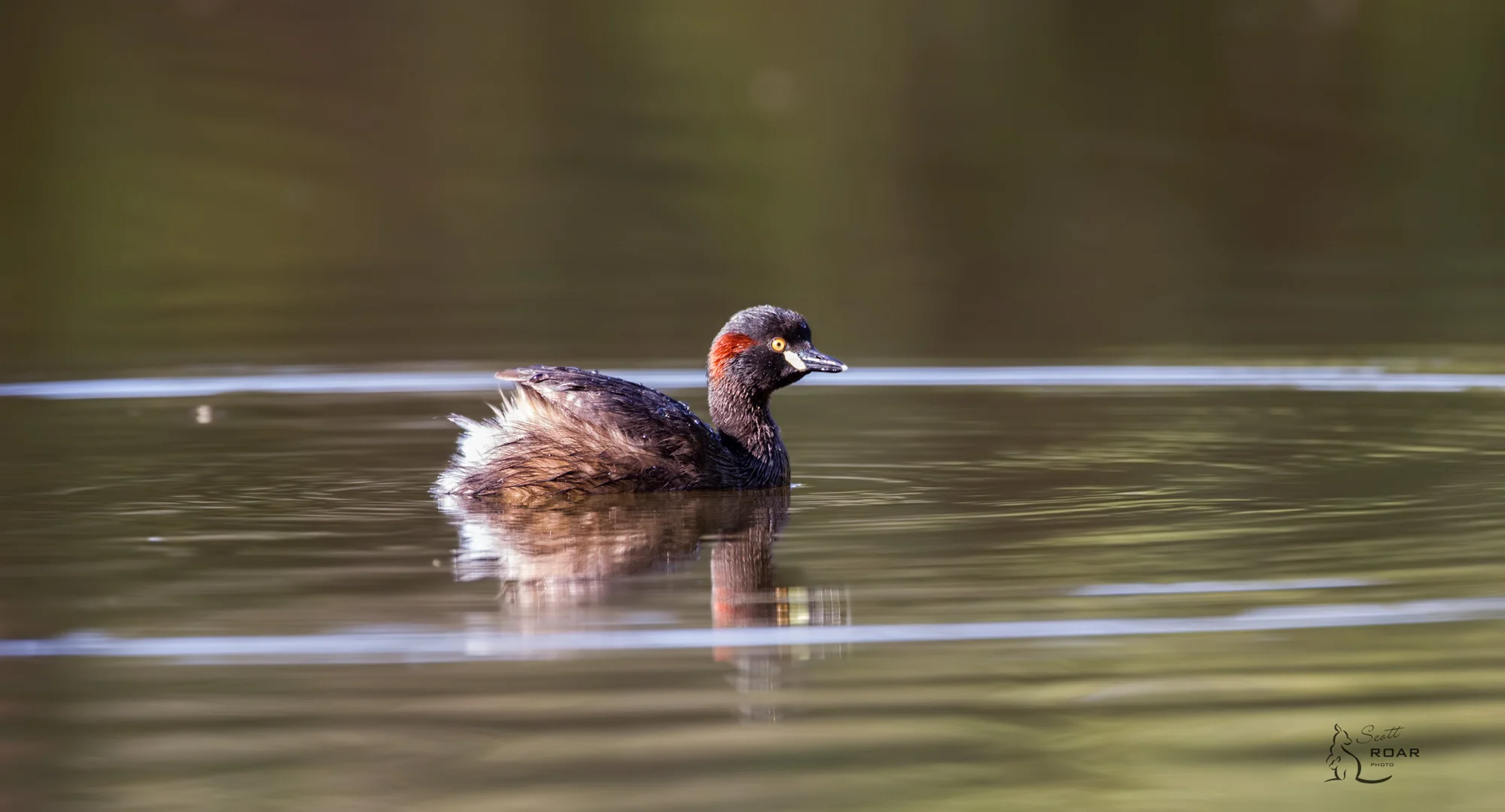 IMG_2910-Edit.jpg