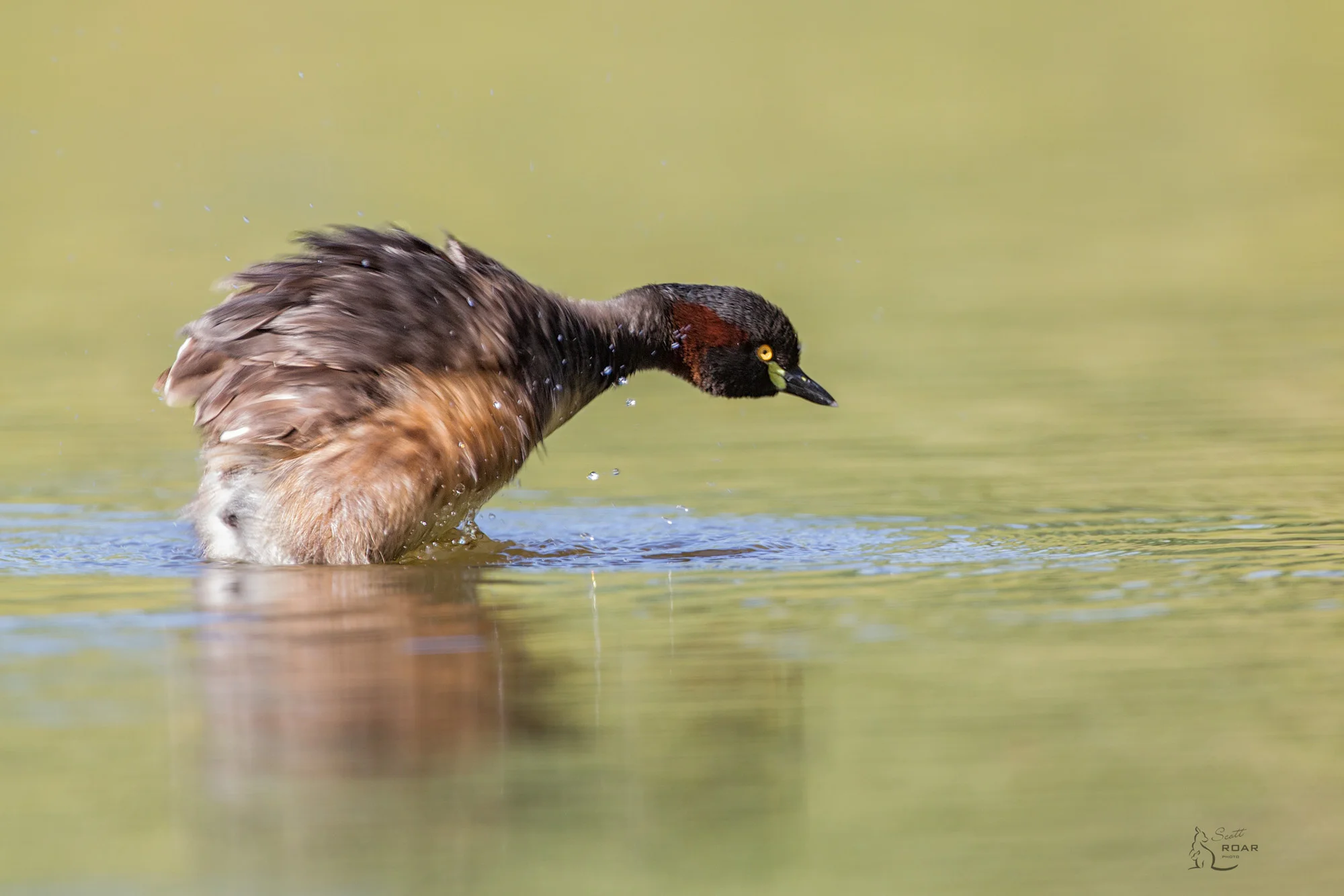 IMG_3019-Edit.jpg