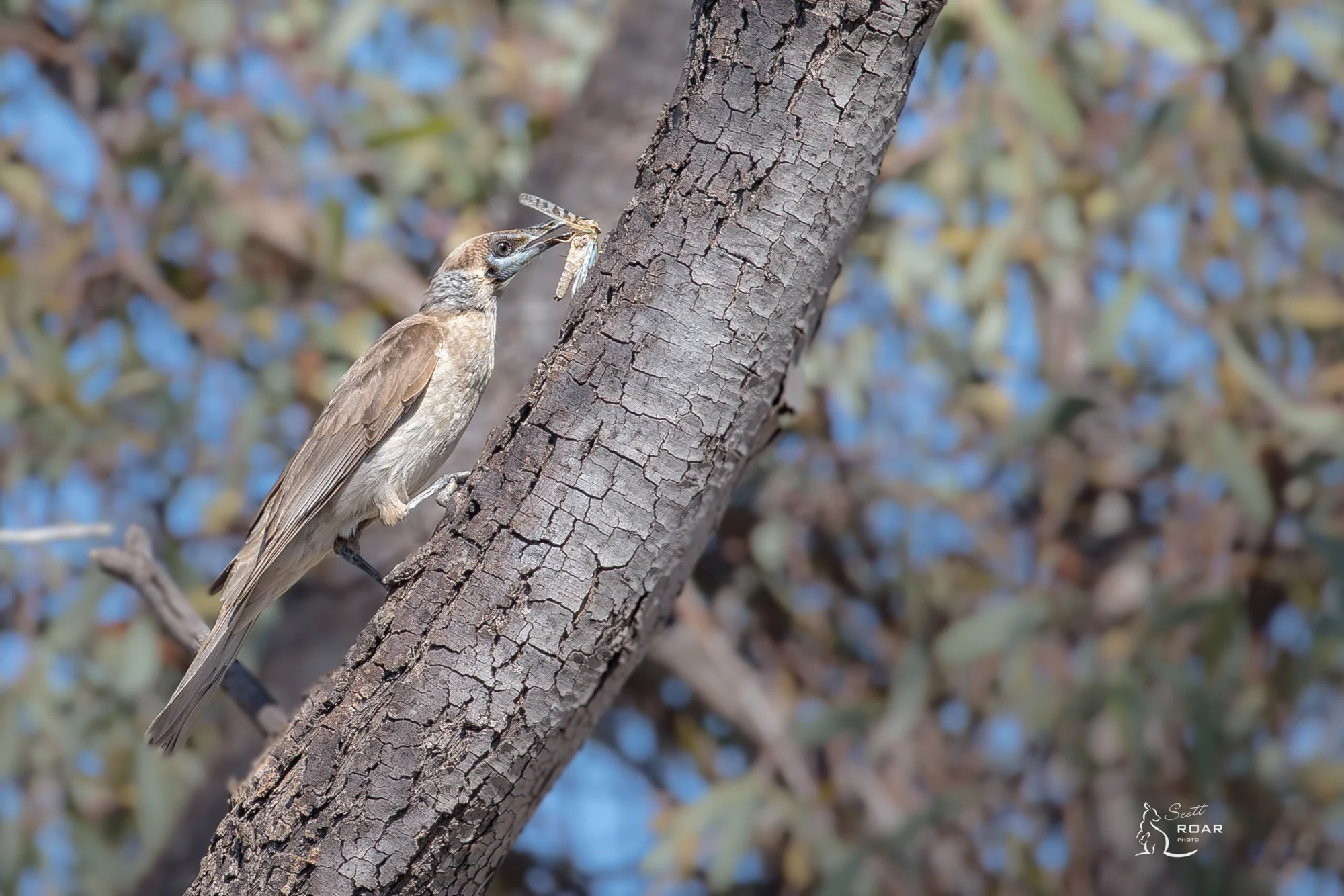 Outback Holiday-0364.jpg