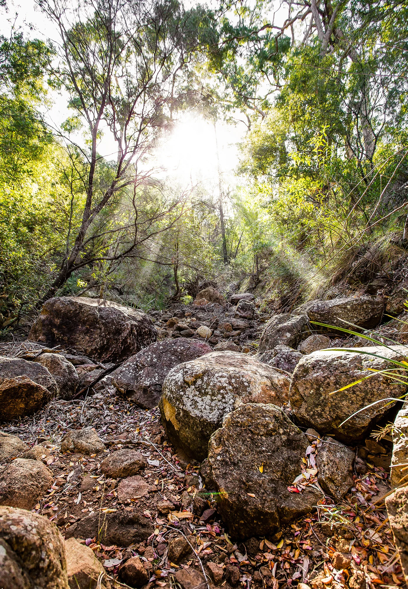 _CGX6500-Edit-Edit.jpg