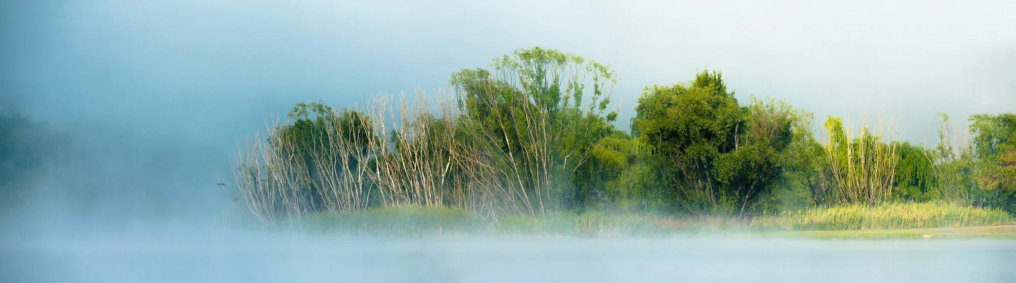 A08Z0756-Pano-Edit.jpg