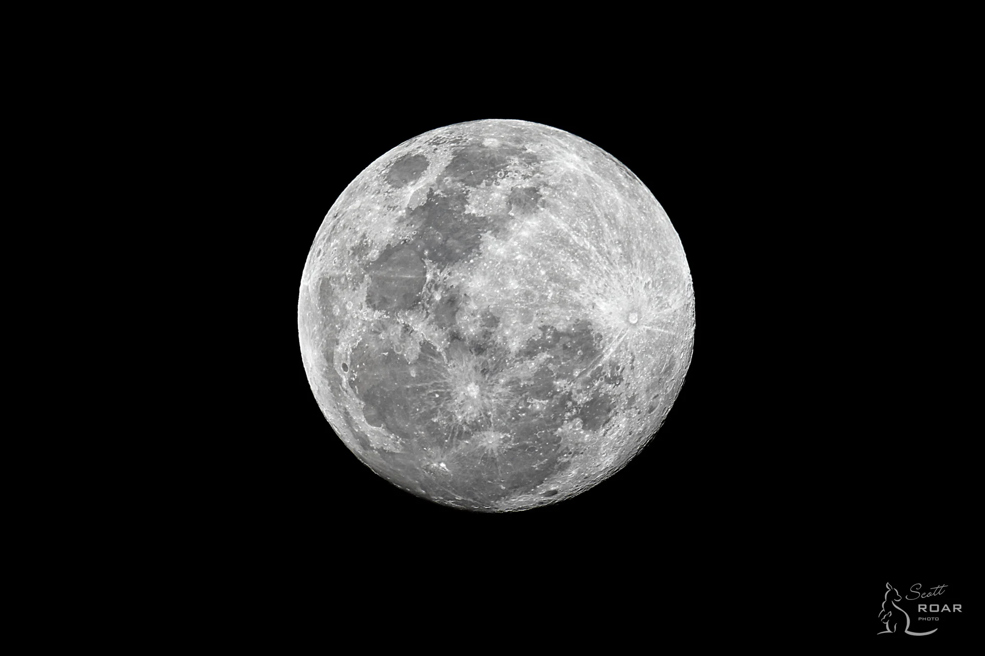 A08Z2490 TIF.jpg