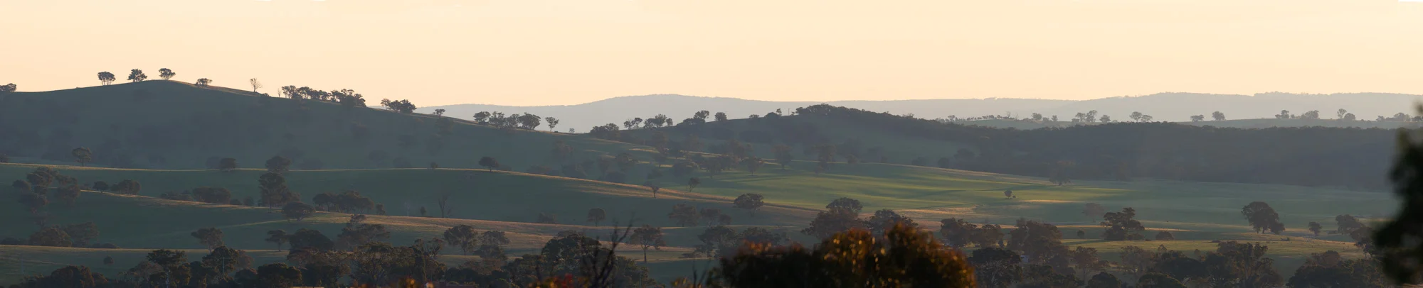 panorama 2.jpg