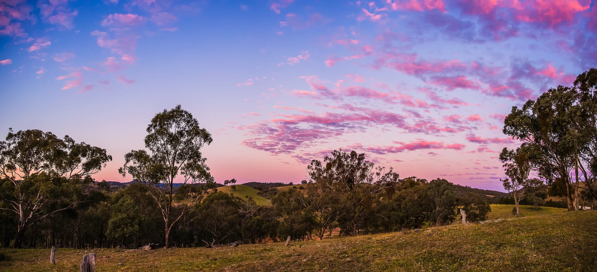 panorama 2-Edit.jpg