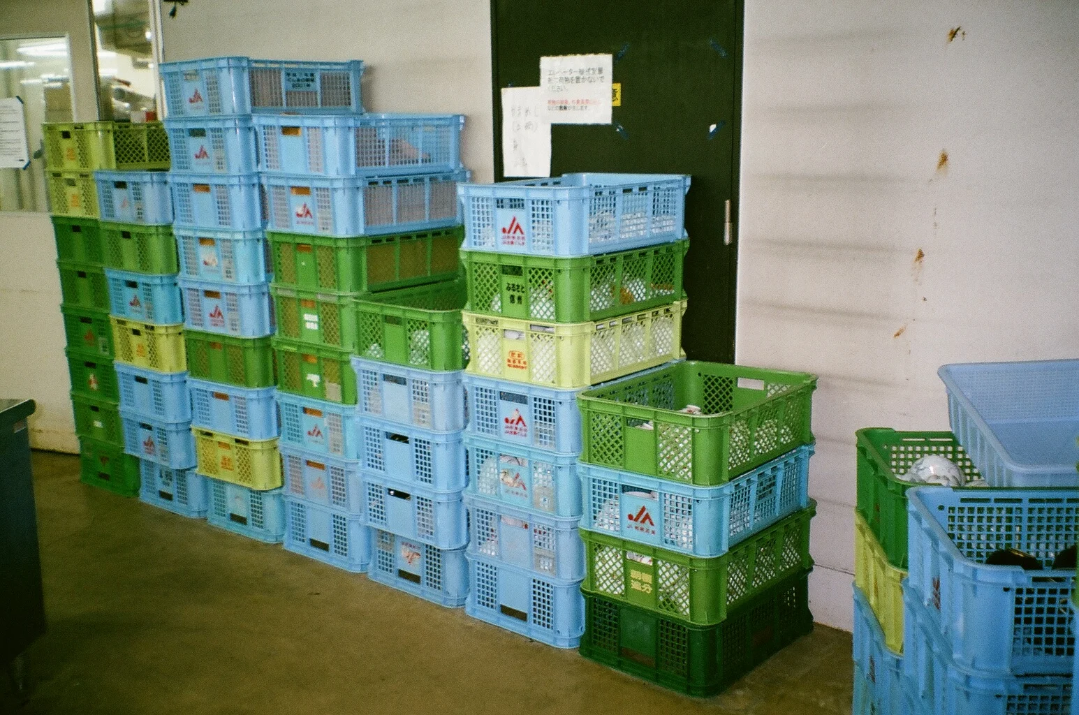 08820018.jpg