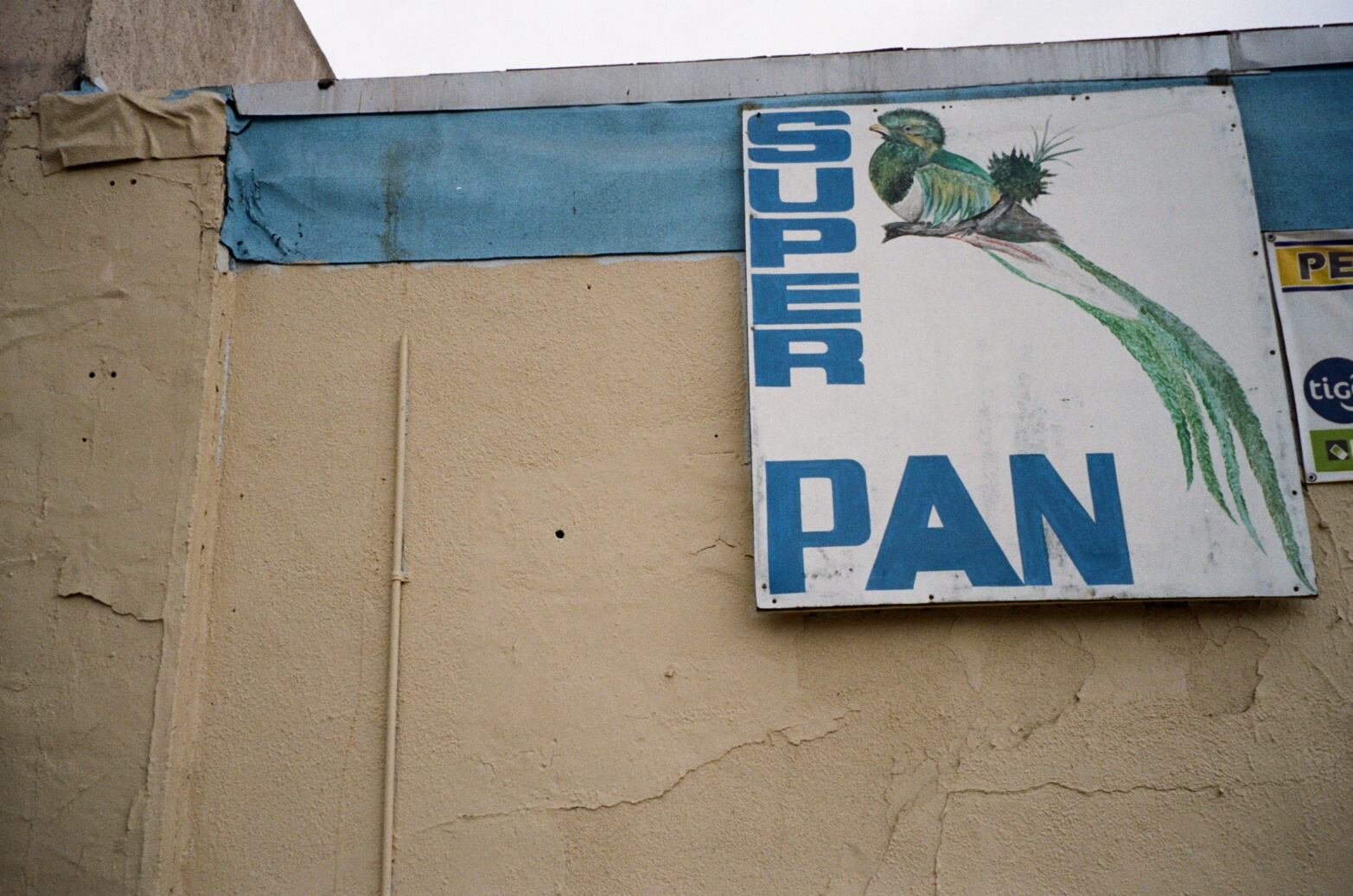000044420015.jpg