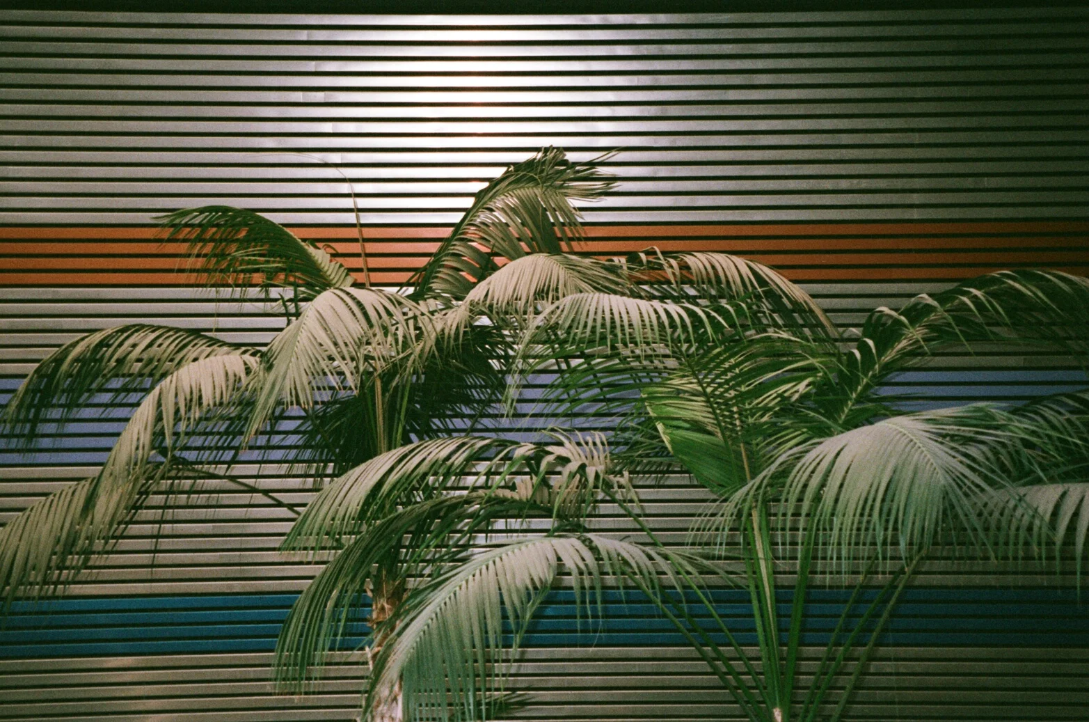 000035880023.jpg