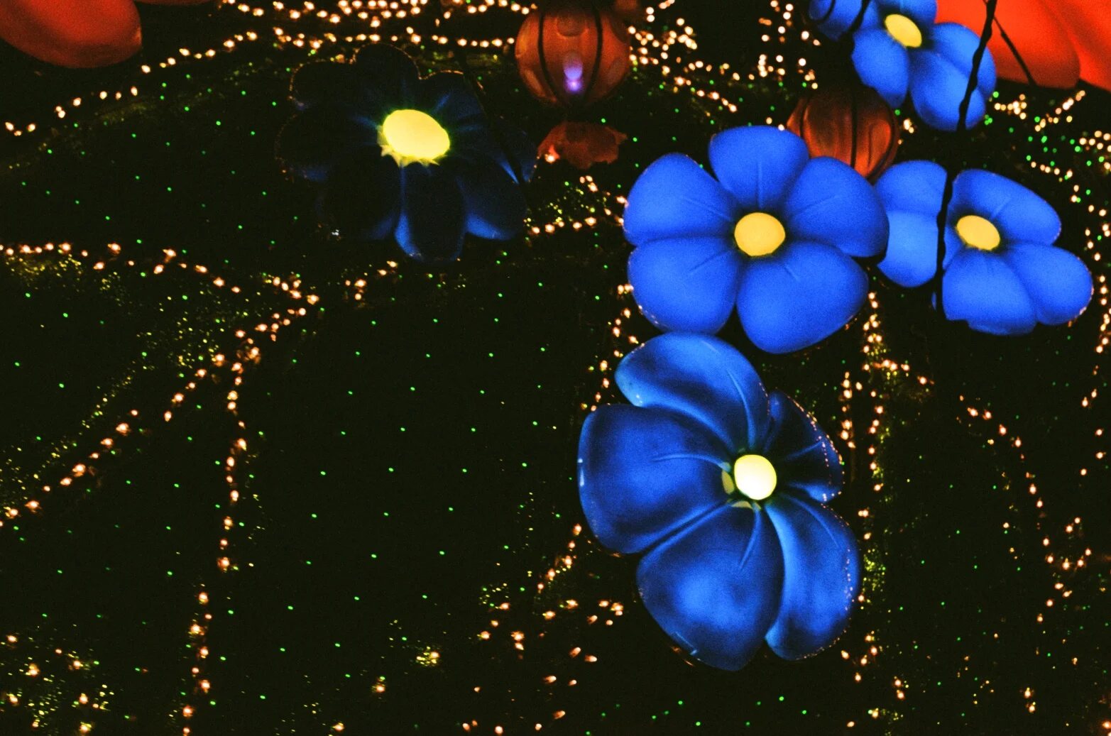 000035910024.jpg